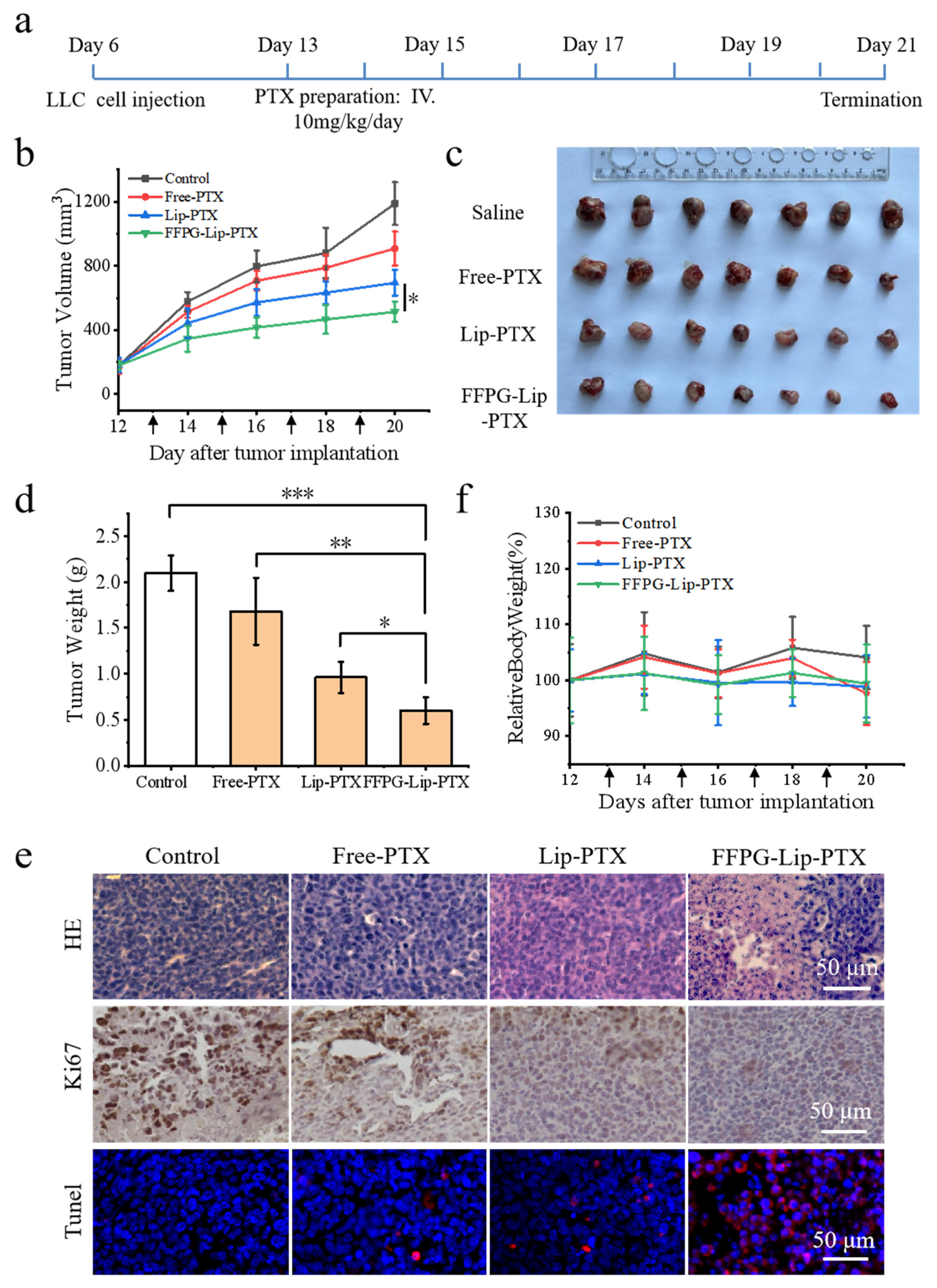Pharmaceutics 17 00094 g006