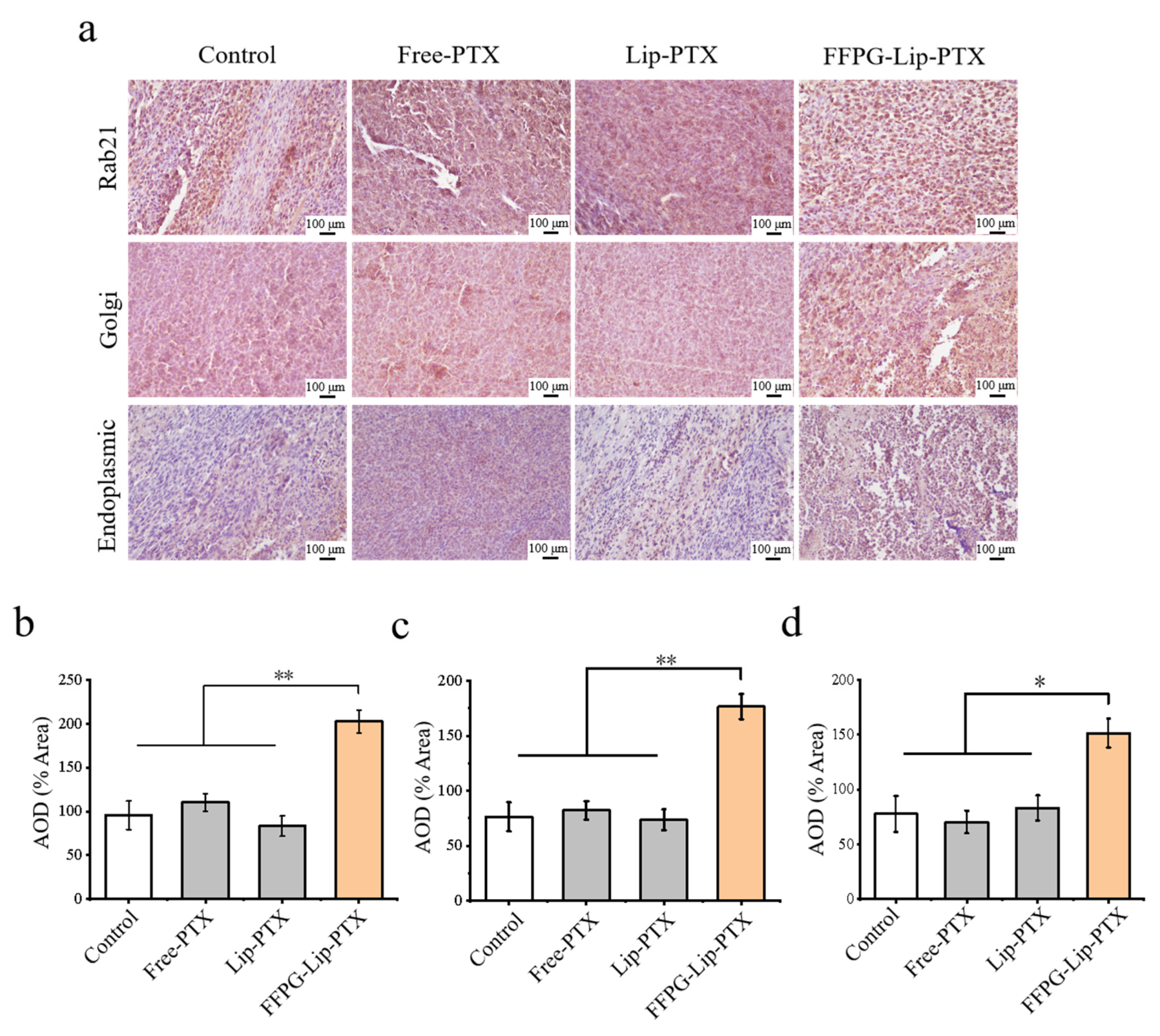 Pharmaceutics 17 00094 g007