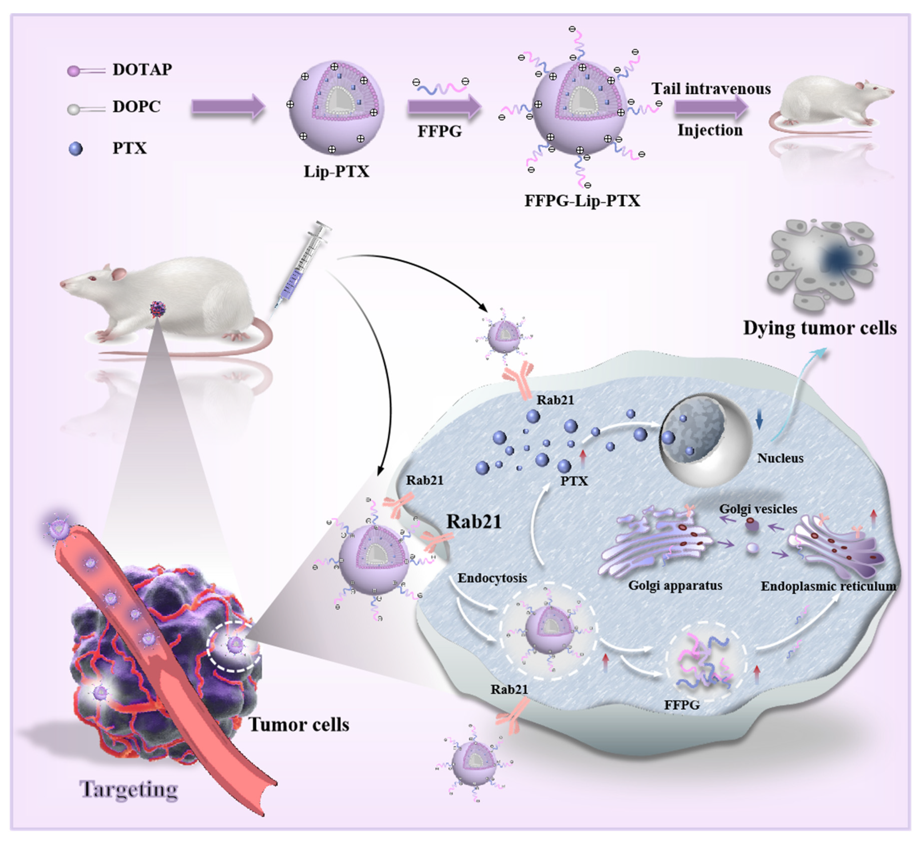Pharmaceutics 17 00094 sch001