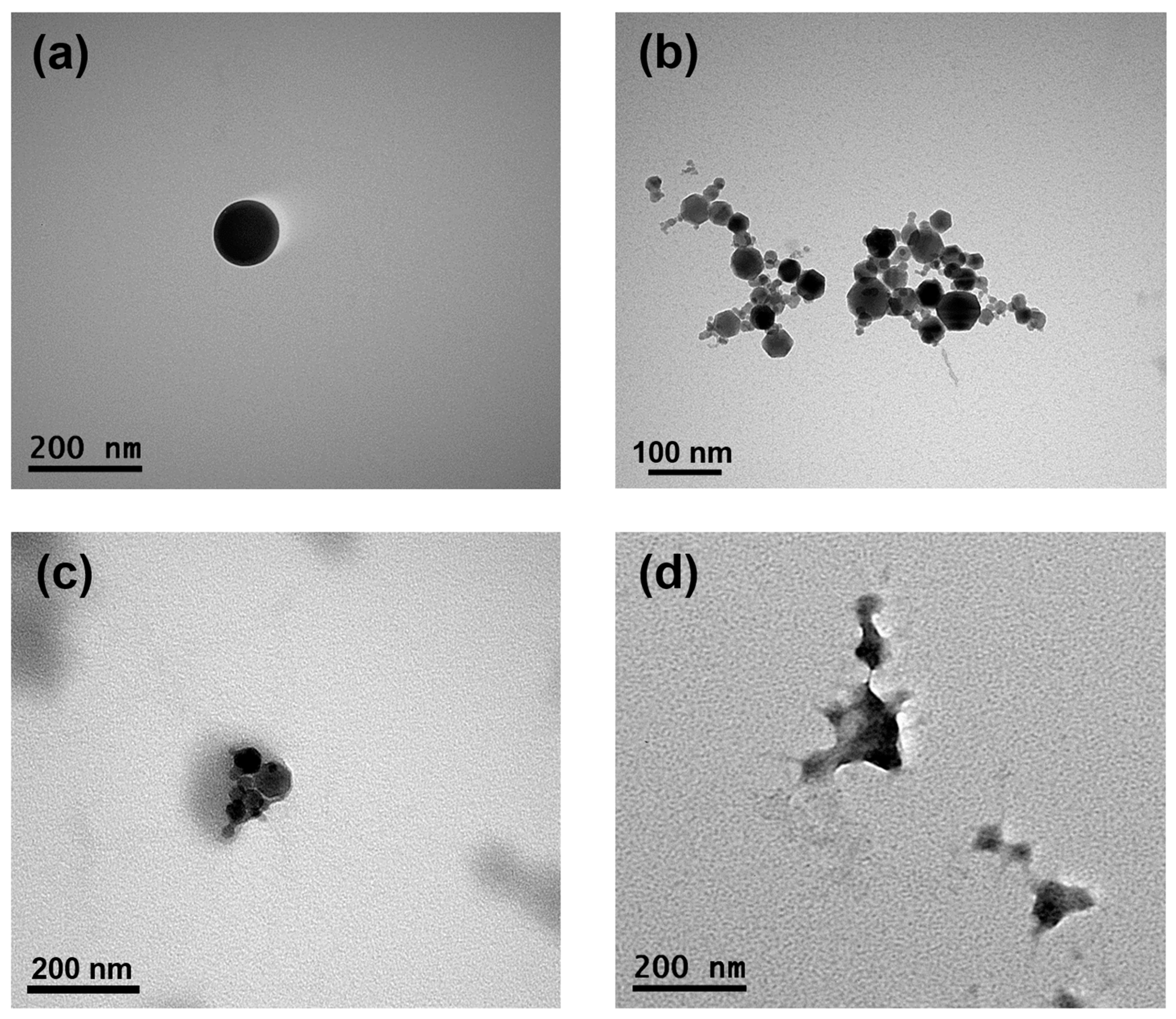 Pharmaceutics 17 00095 g005