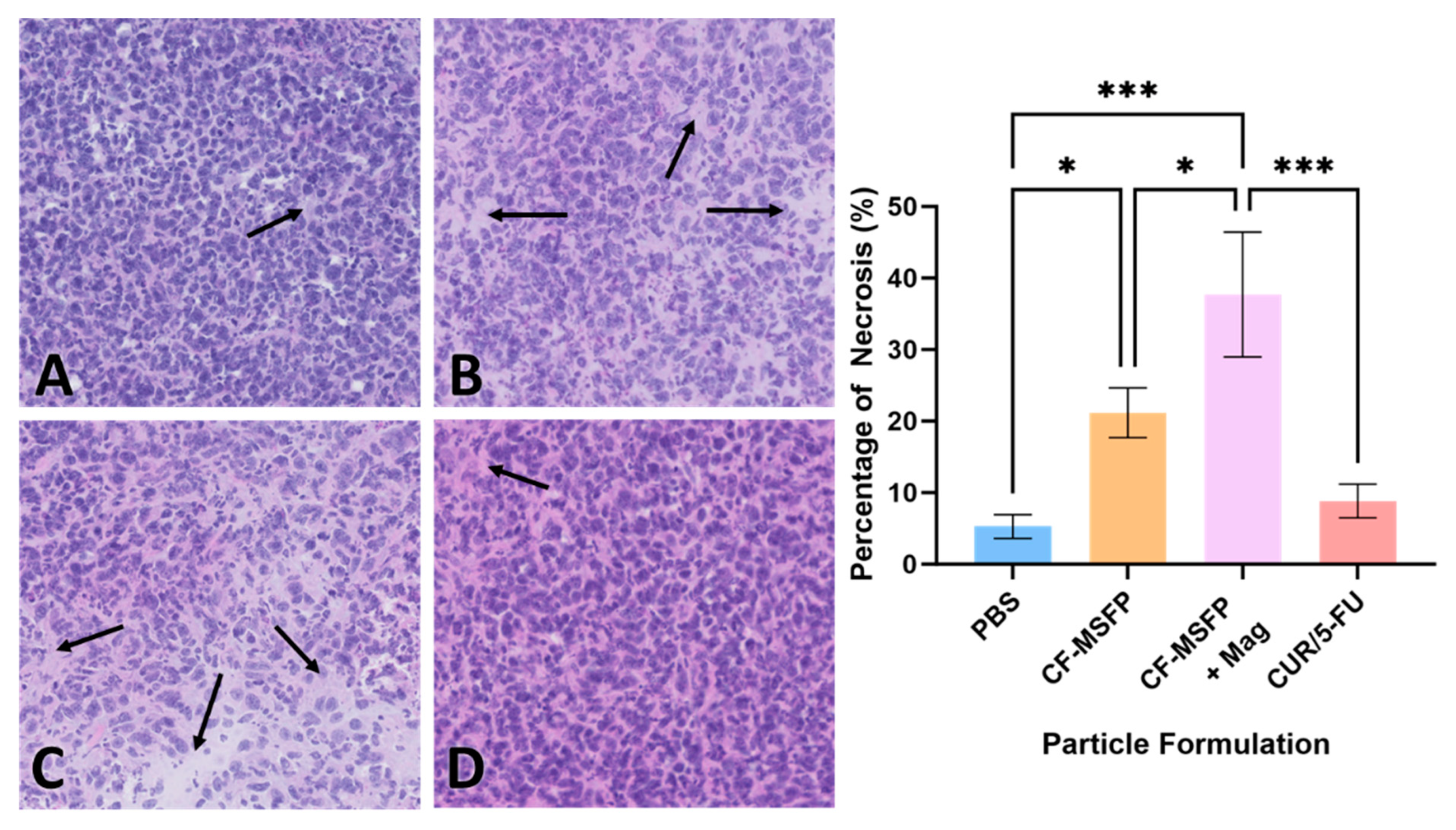 Pharmaceutics 17 00095 g010