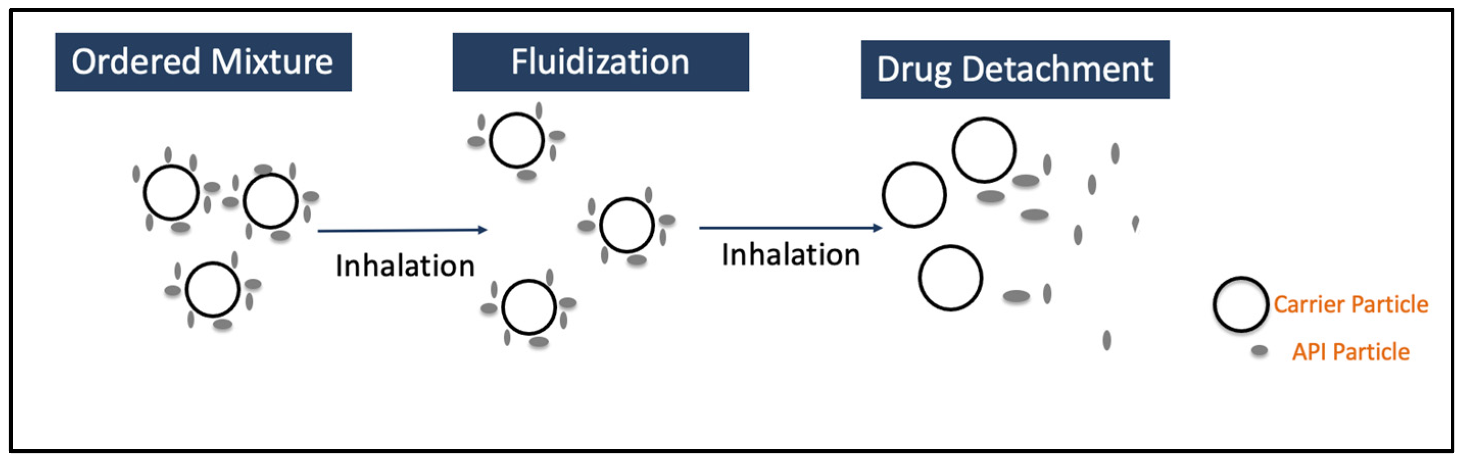 Pharmaceutics 17 00096 g001 Pharmaceutics 17 00096 g001