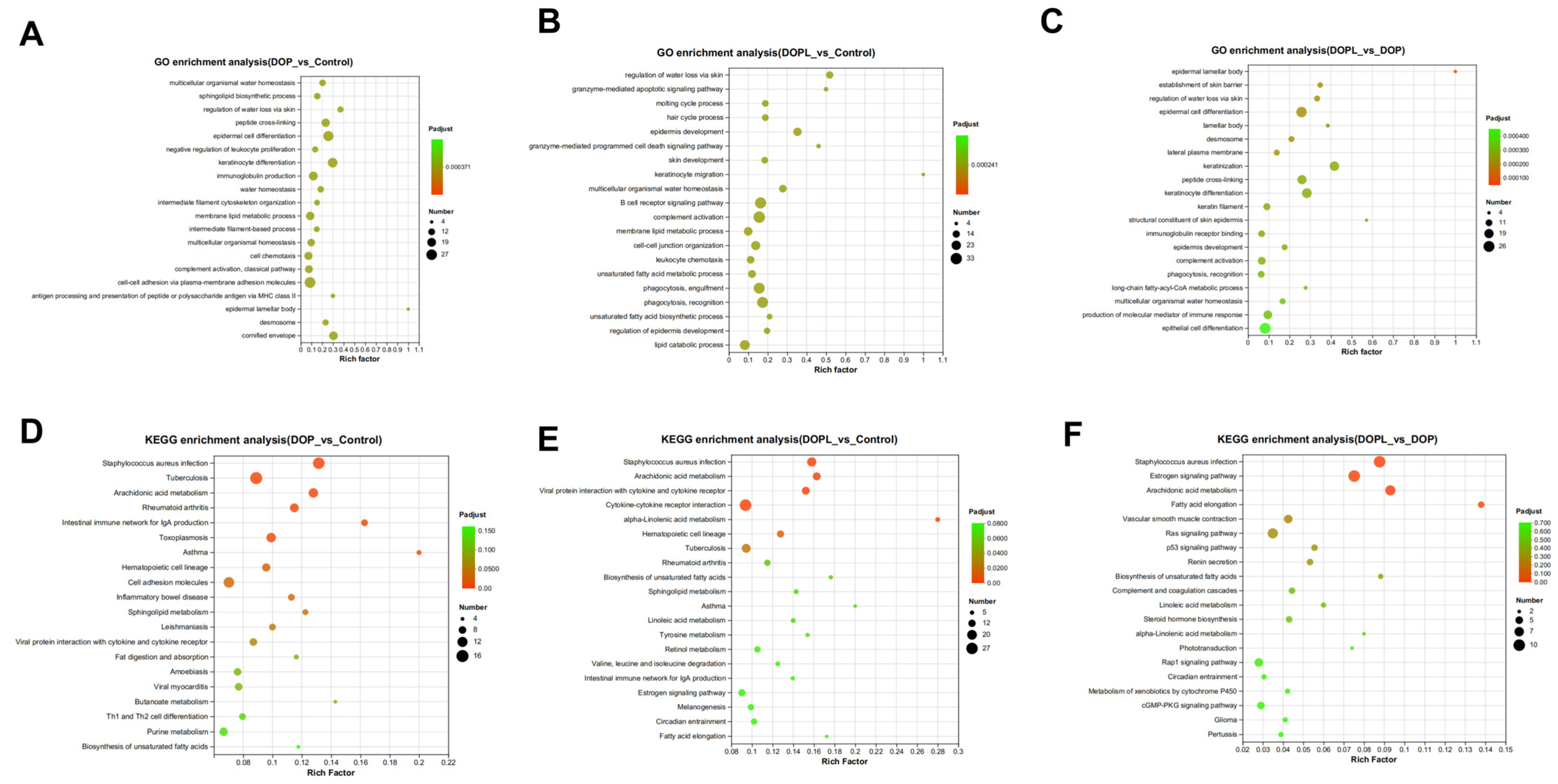 Pharmaceutics 17 00097 g004 Pharmaceutics 17 00097 g004