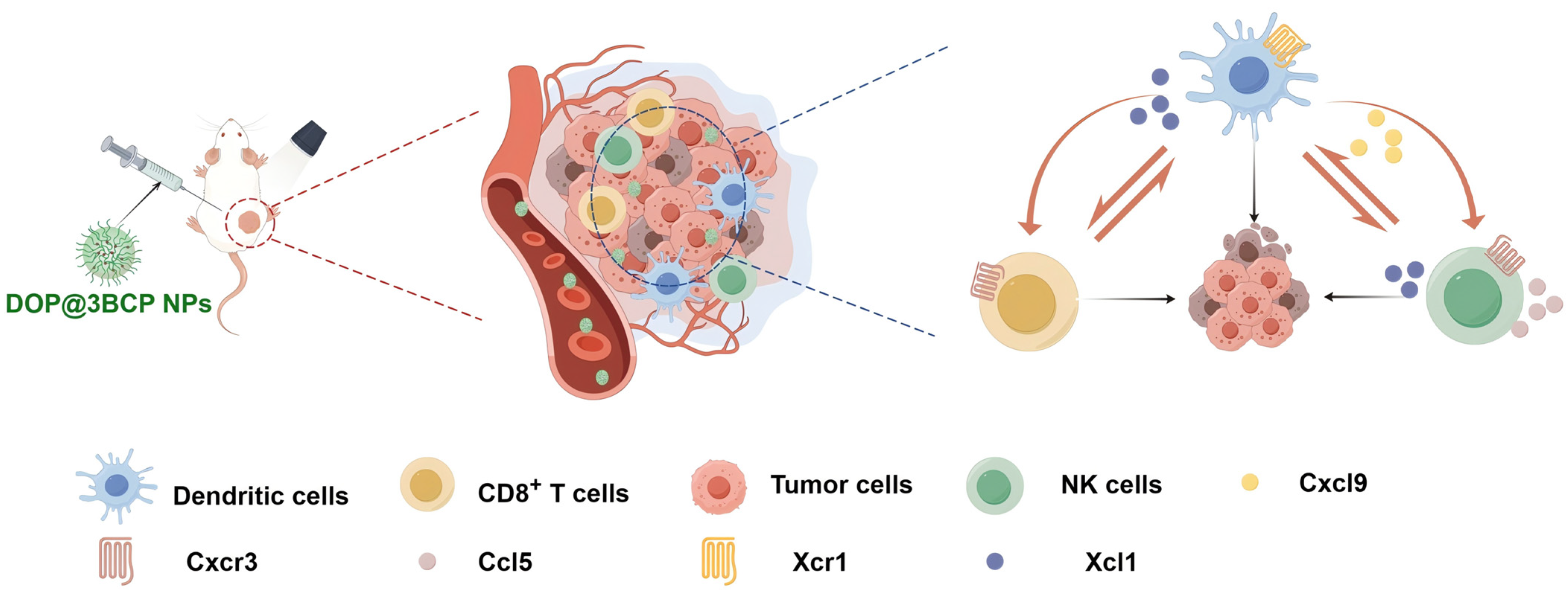 Pharmaceutics 17 00097 g006 Pharmaceutics 17 00097 g006