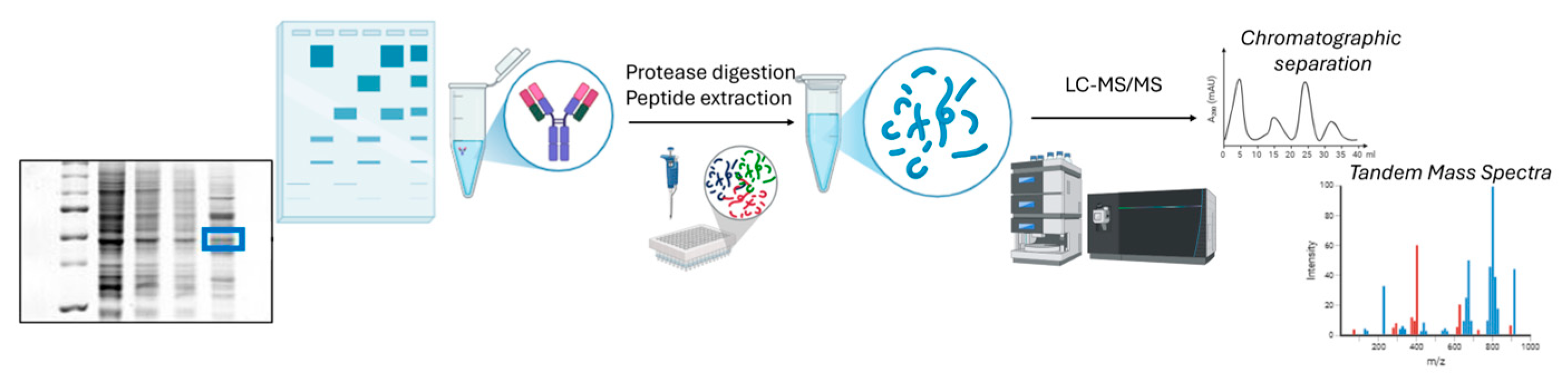 Pharmaceutics 17 00101 g001