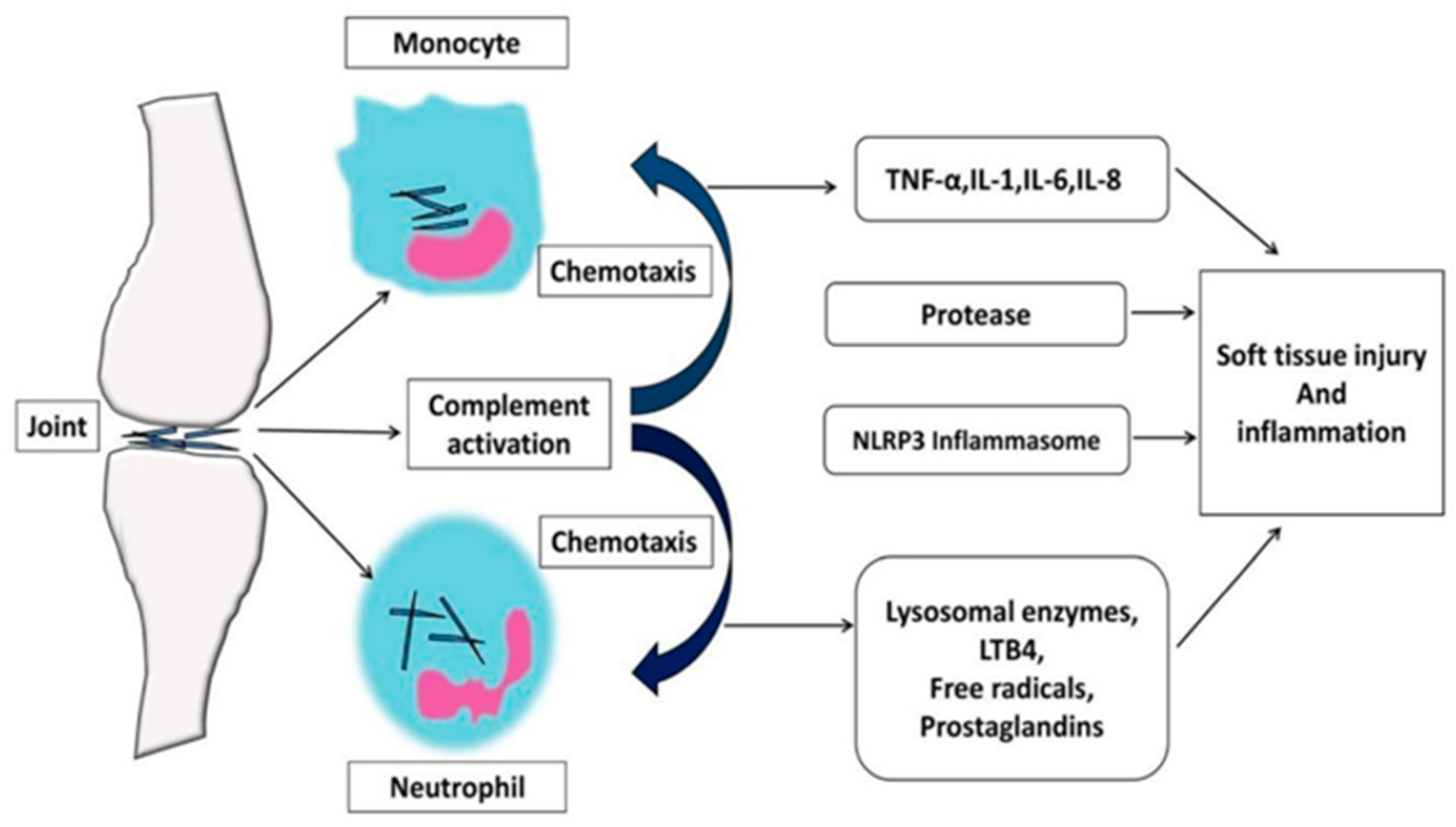 Pharmaceutics 17 00102 g001 Pharmaceutics 17 00102 g001