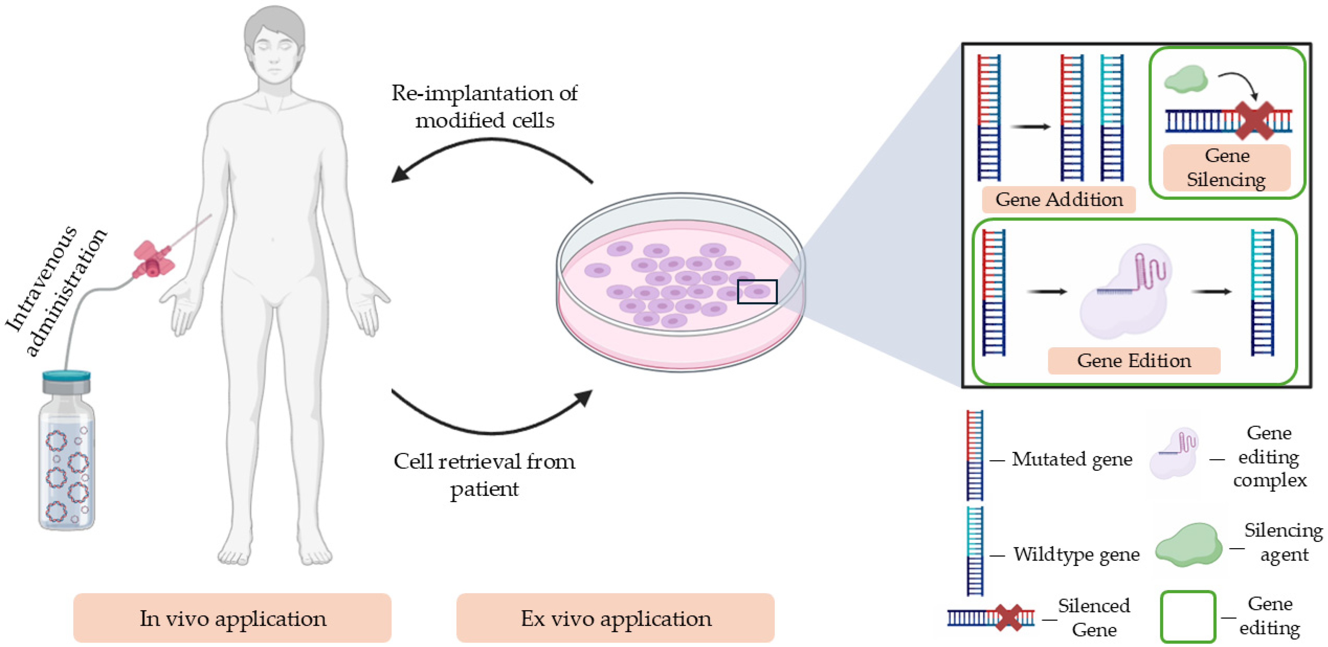 Pharmaceutics 17 00104 g001