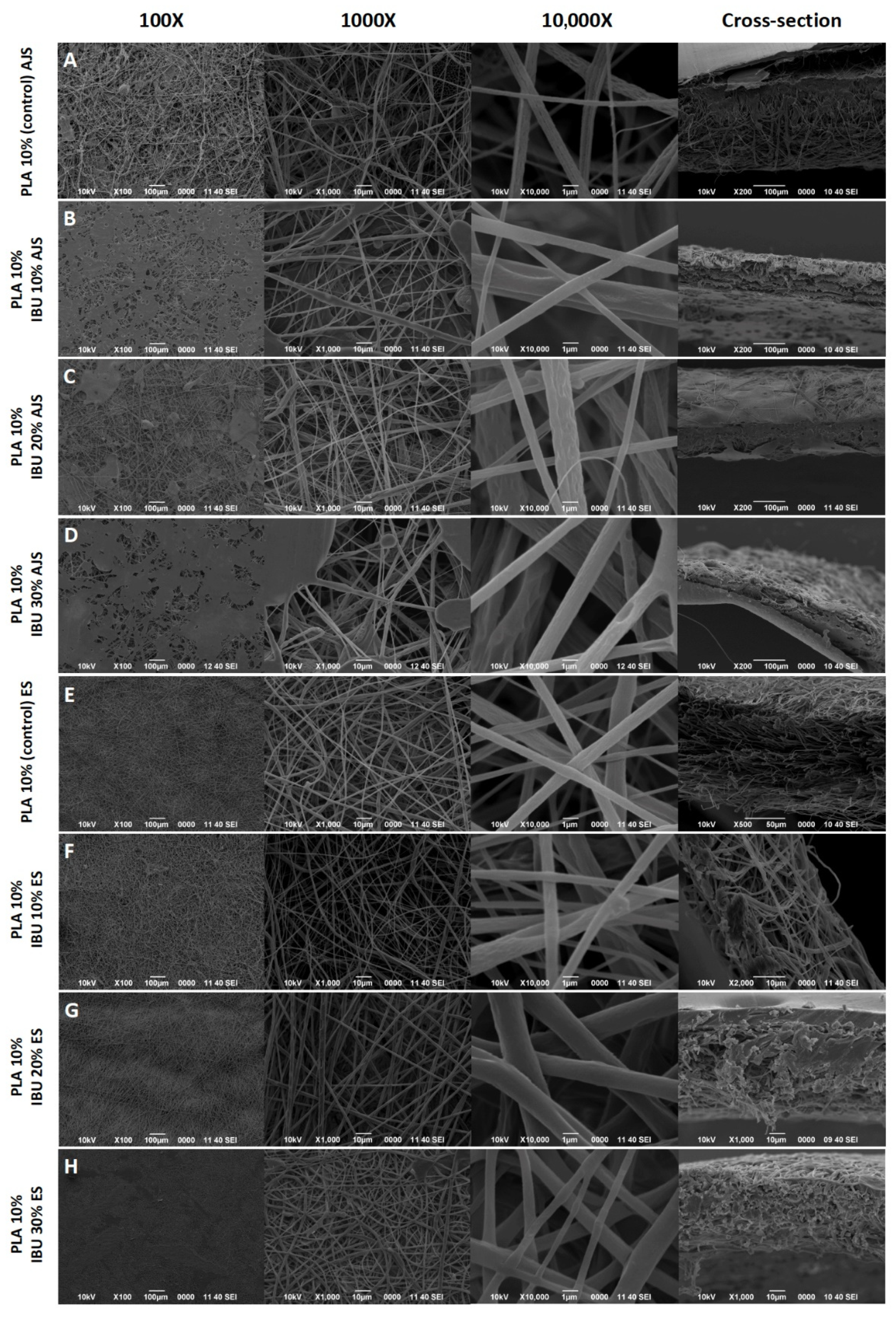 Pharmaceutics 17 00106 g002