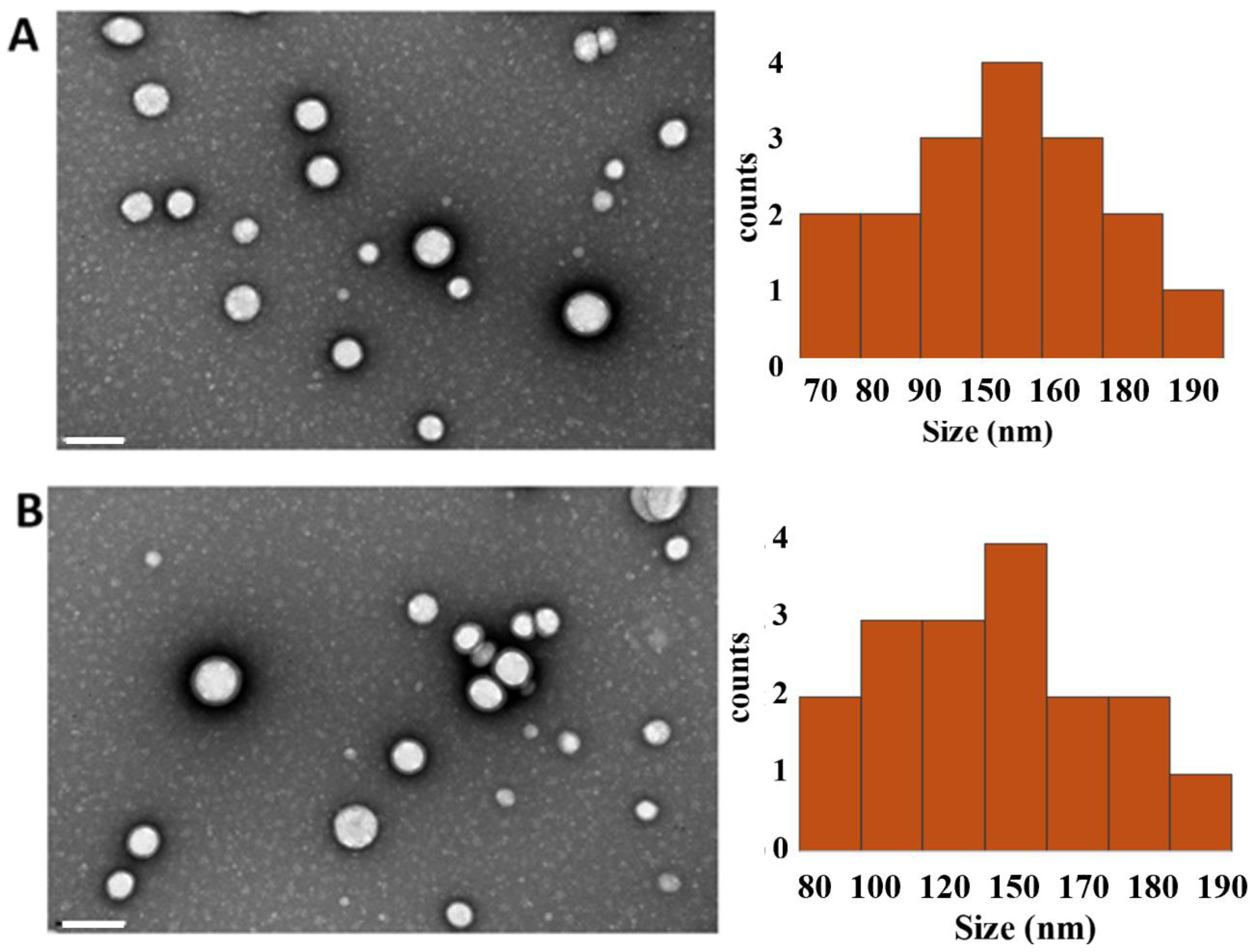 Pharmaceutics 17 00108 g001