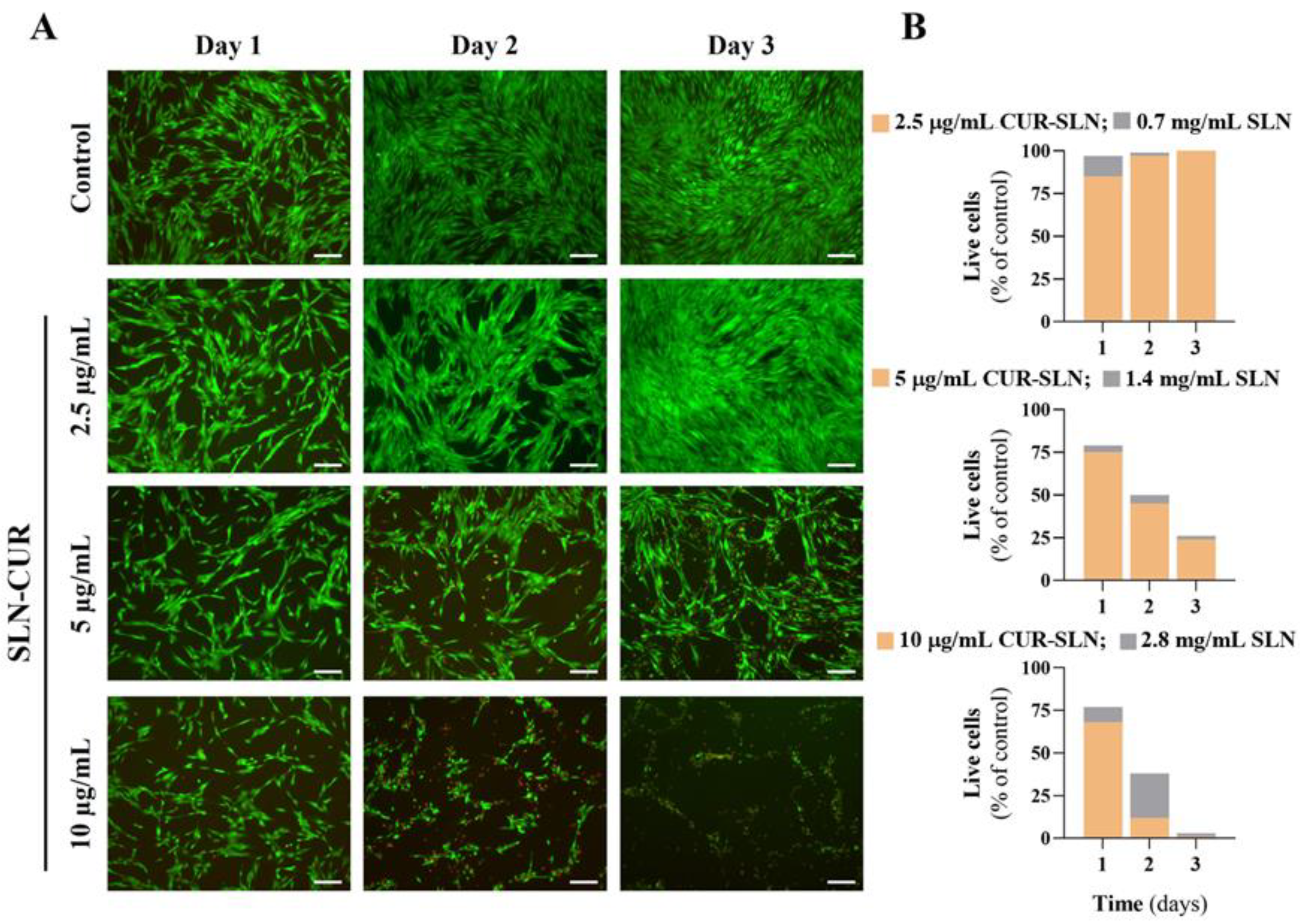 Pharmaceutics 17 00108 g008