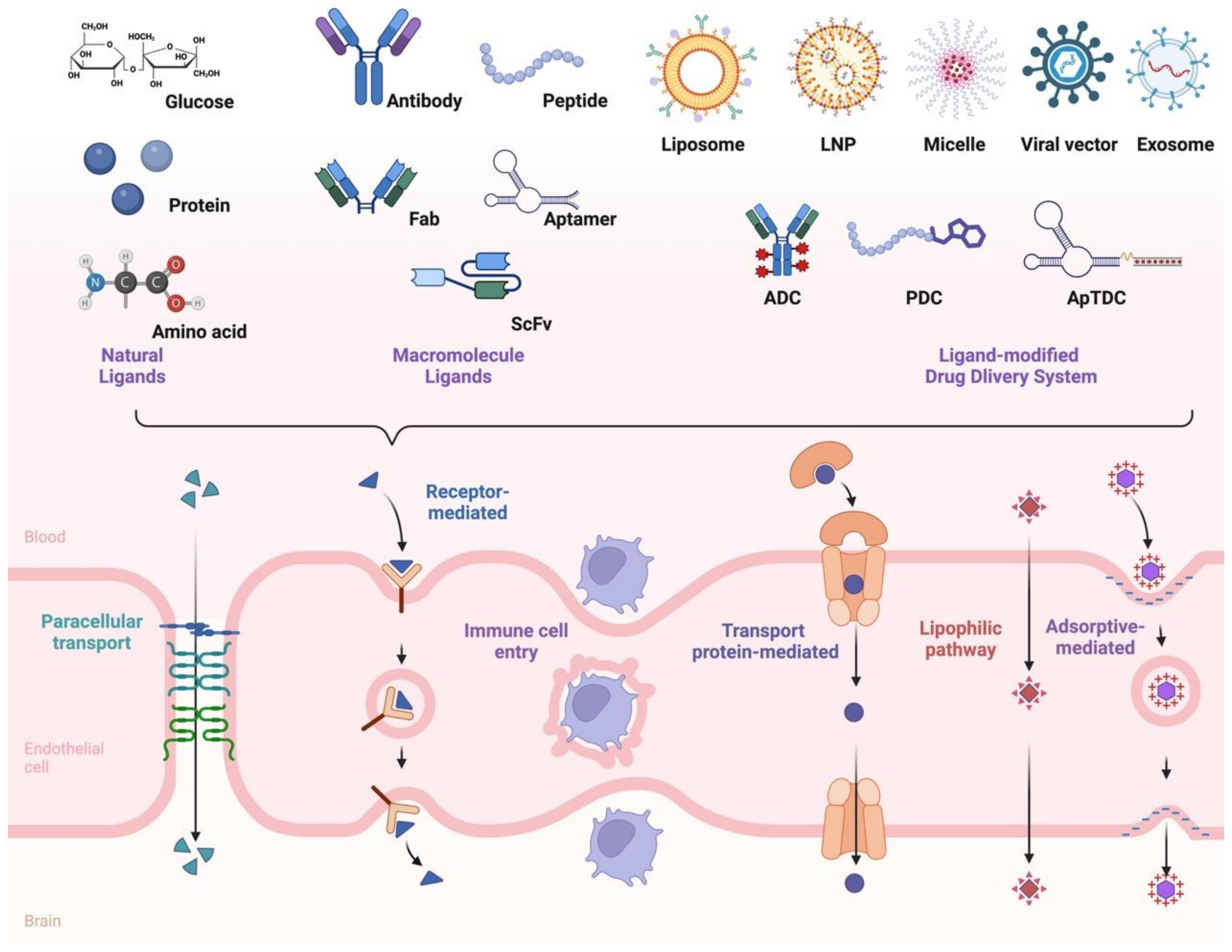 Pharmaceutics 17 00109 g001