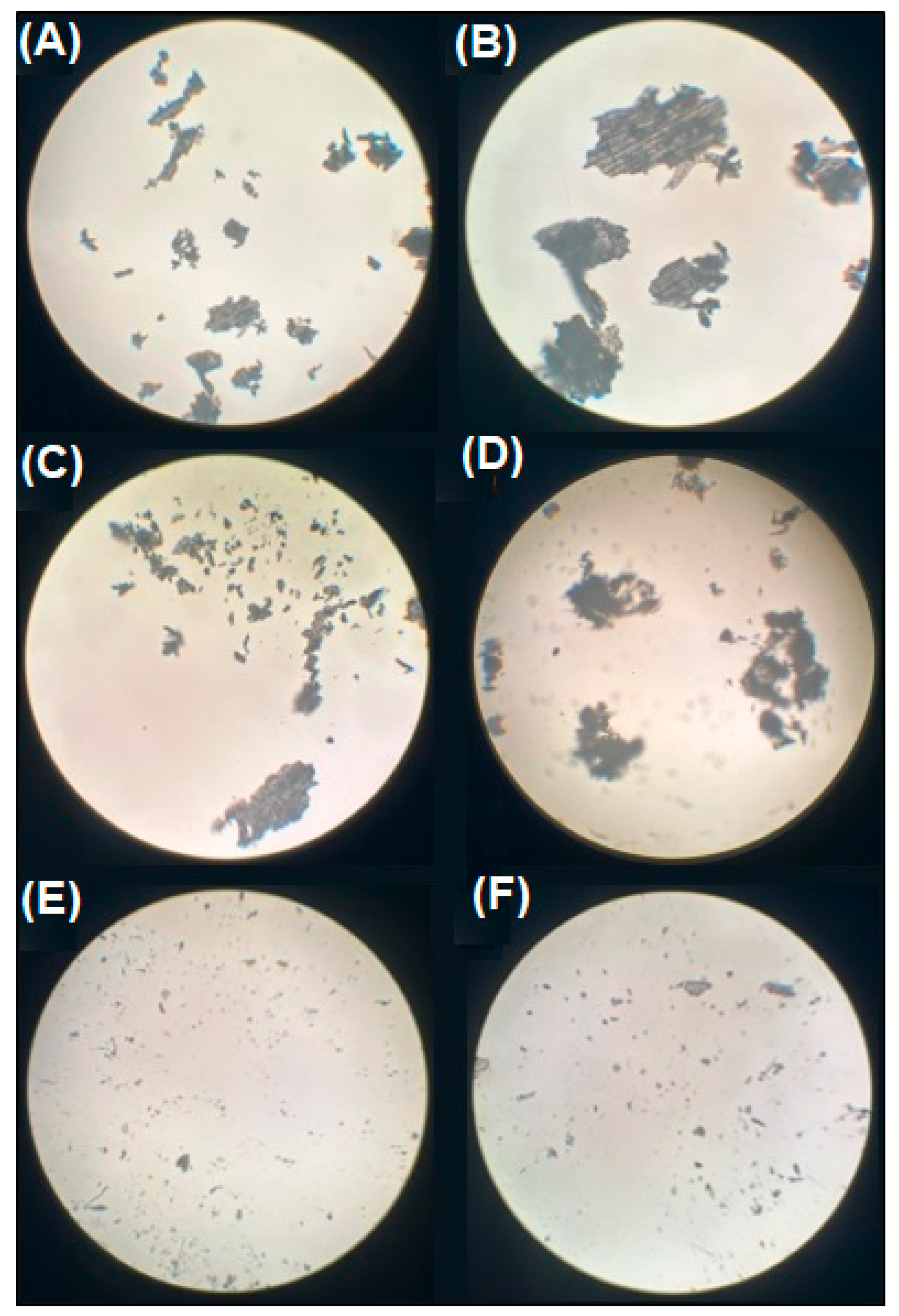 Pharmaceutics 17 00112 g007