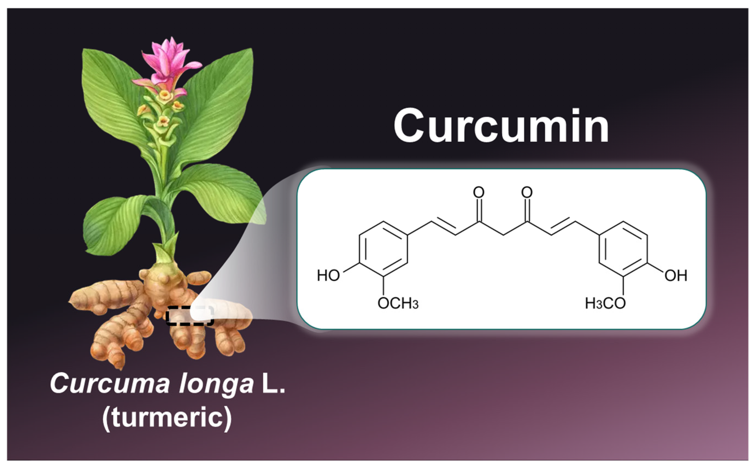 Pharmaceutics 17 00114 g001