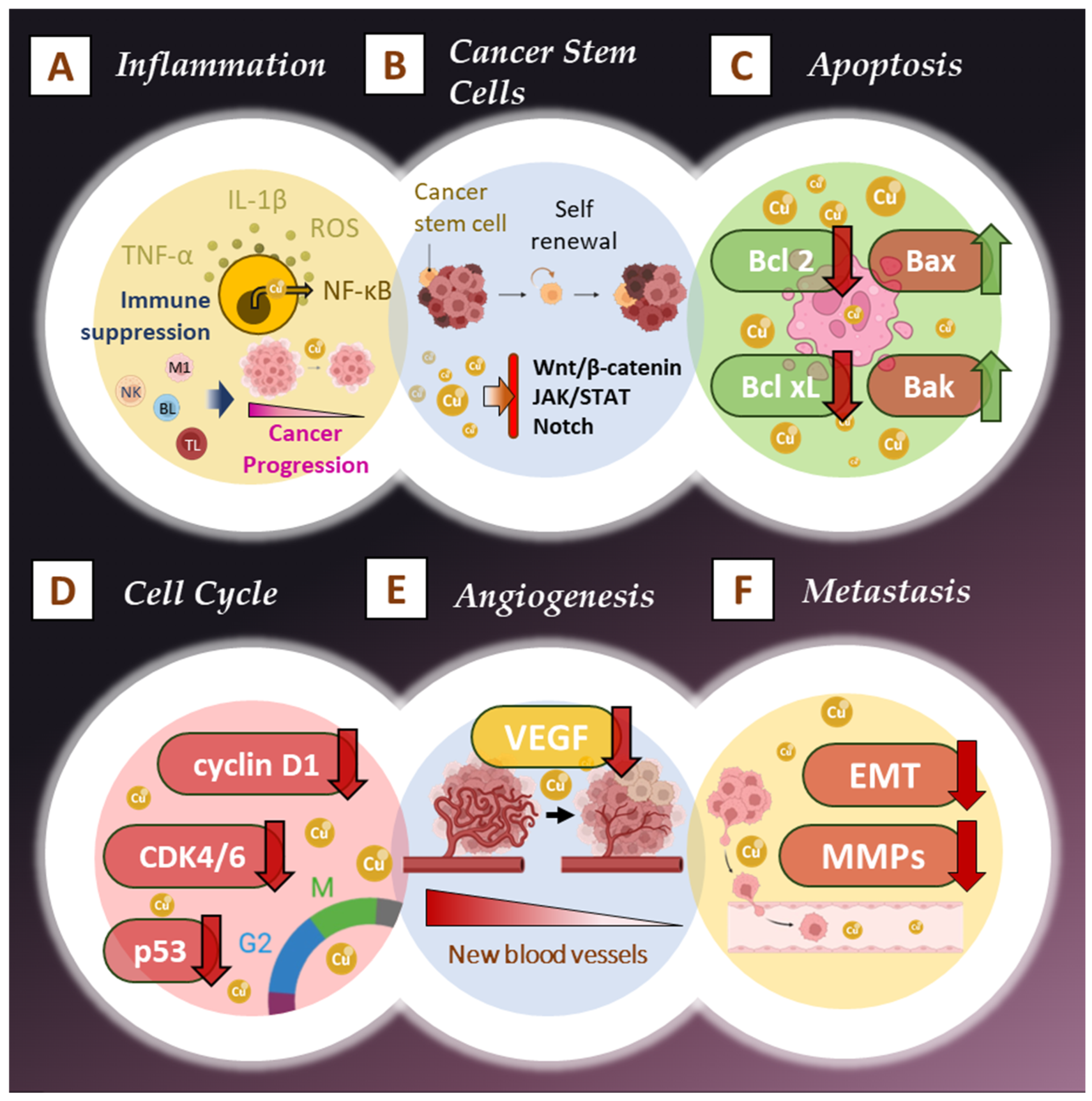 Pharmaceutics 17 00114 g002