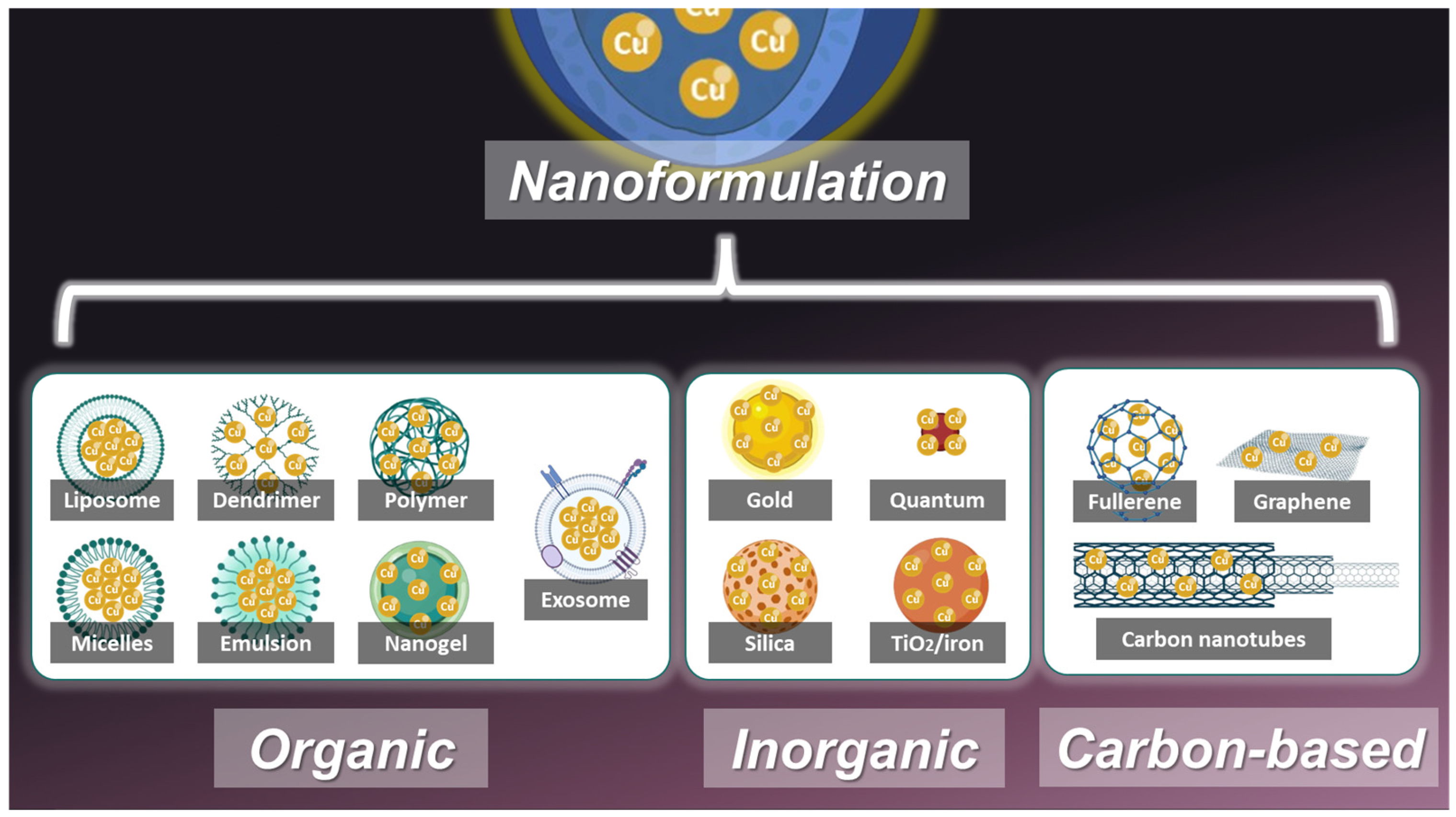 Pharmaceutics 17 00114 g004