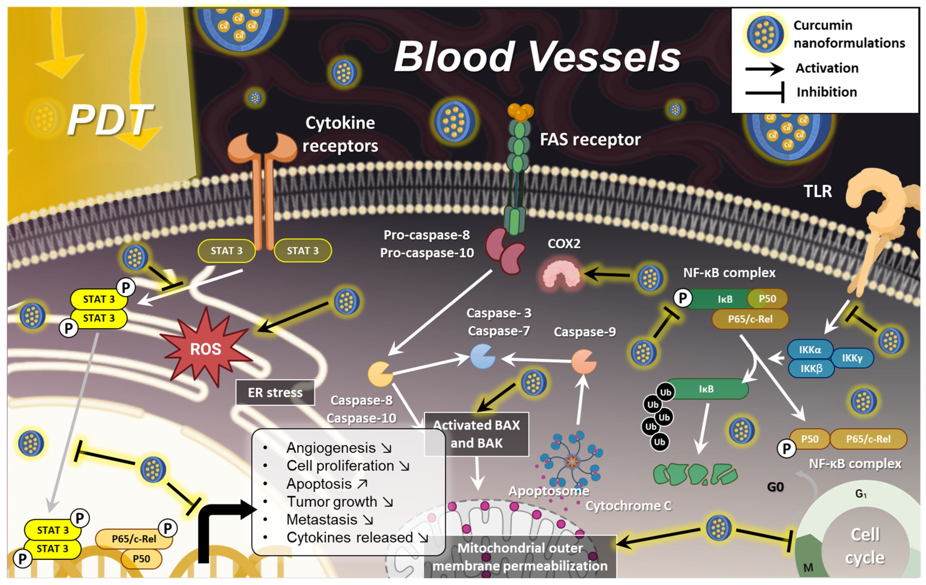 Pharmaceutics 17 00114 g006
