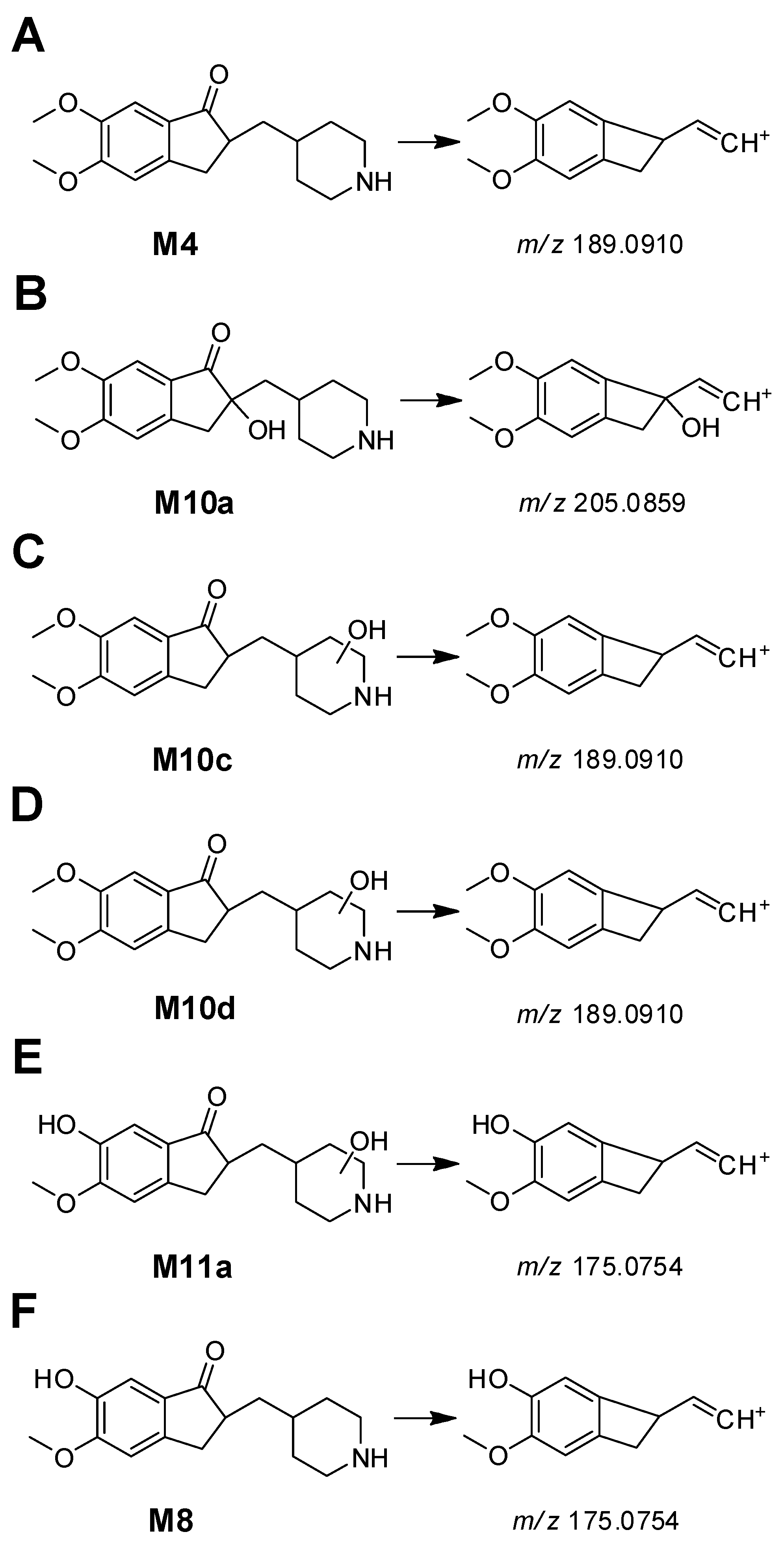 Pharmaceutics 17 00115 g004