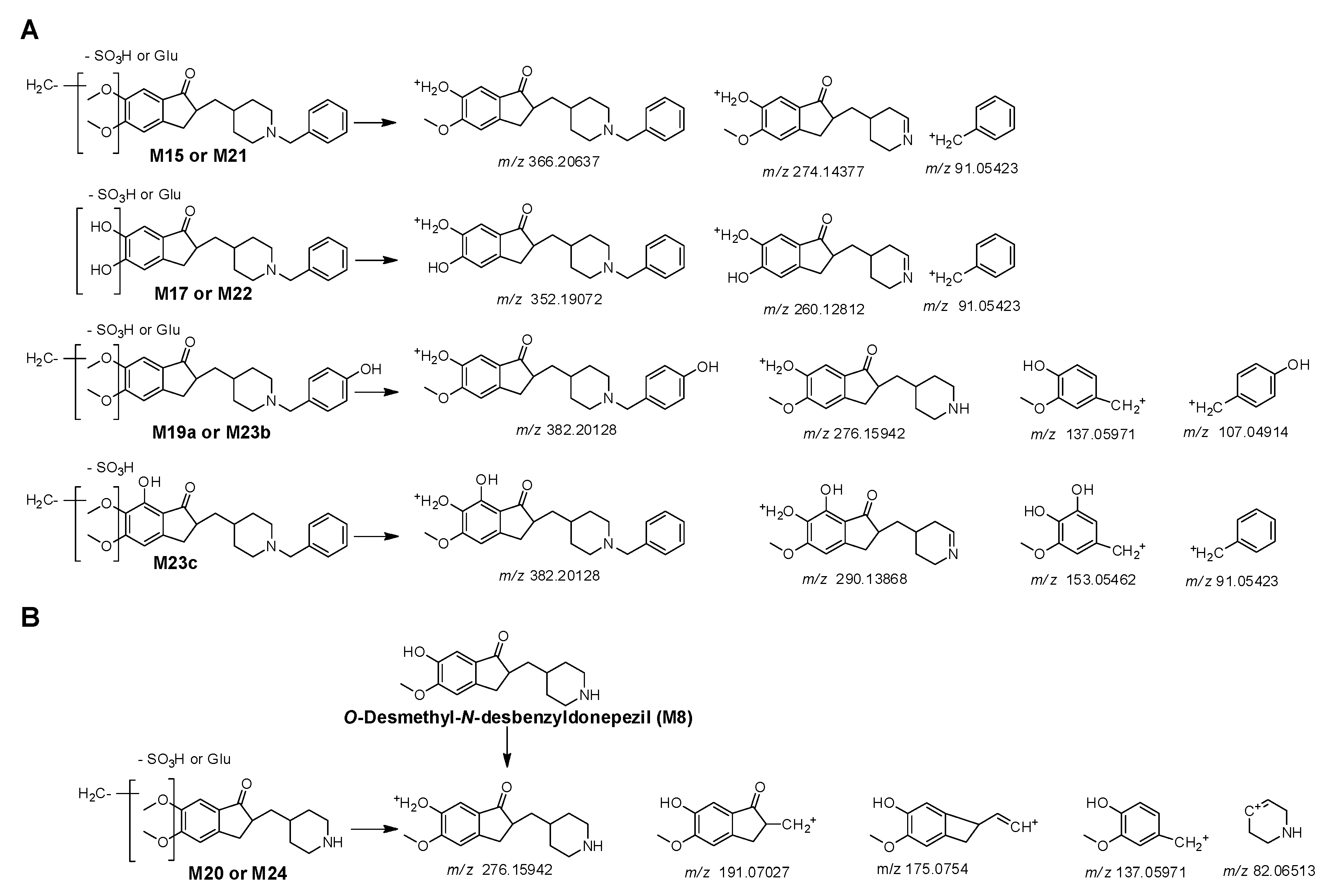Pharmaceutics 17 00115 g005