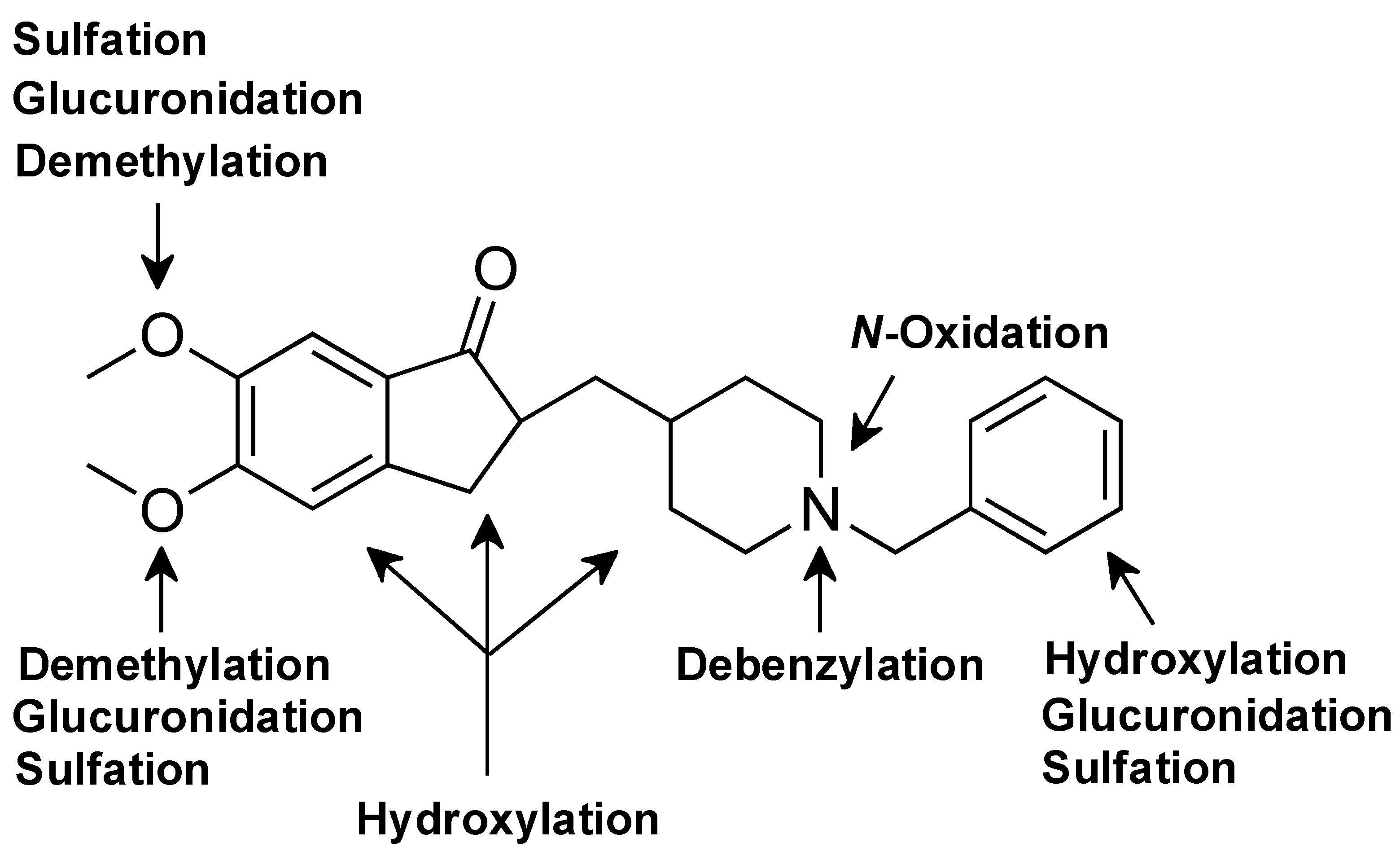 Pharmaceutics 17 00115 g007