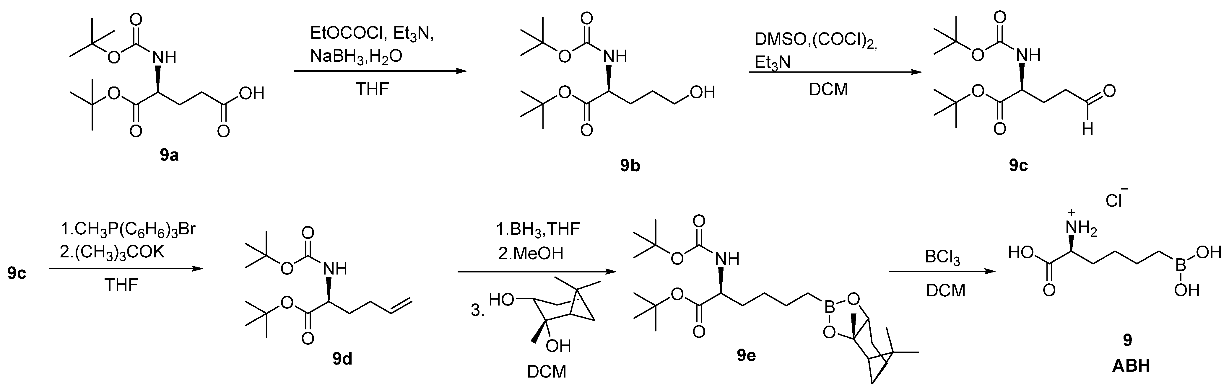 Pharmaceutics 17 00117 sch005