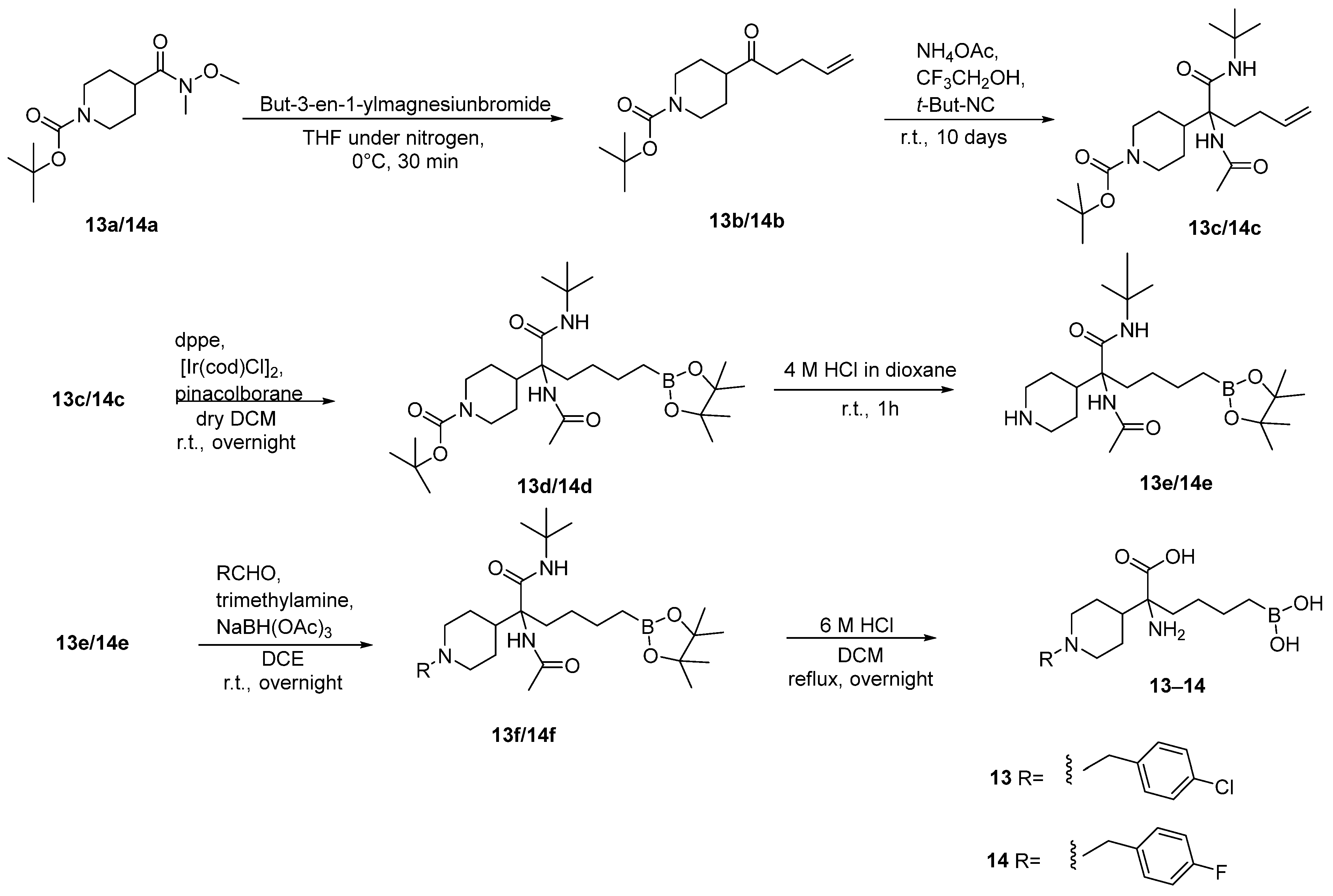 Pharmaceutics 17 00117 sch009