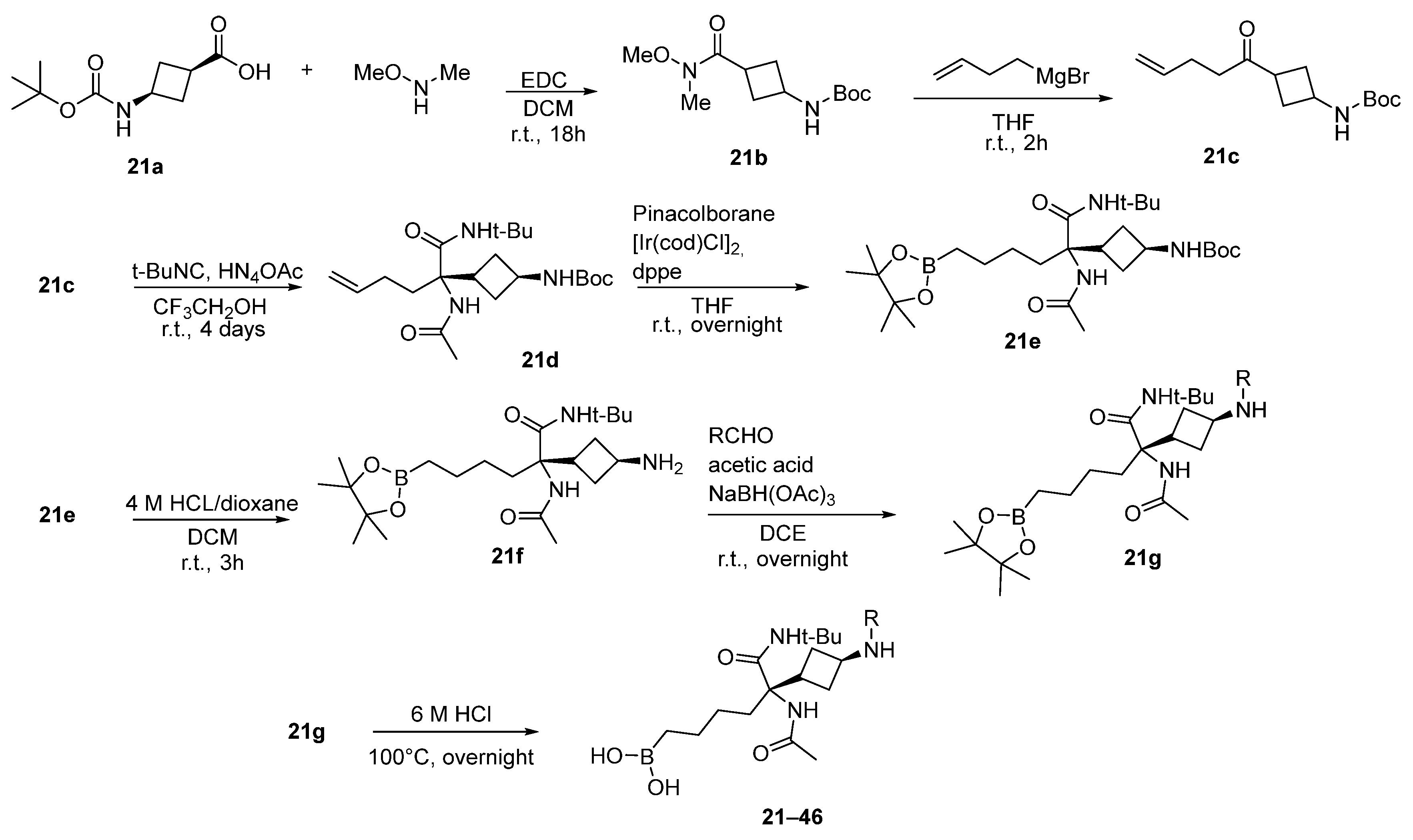 Pharmaceutics 17 00117 sch012