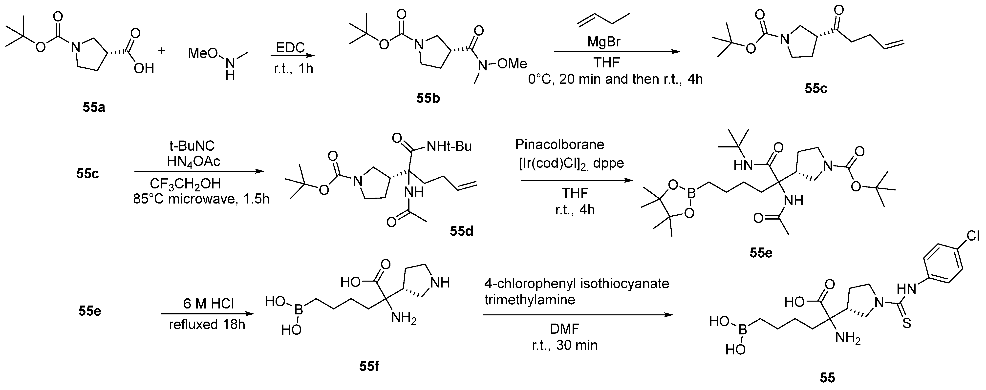 Pharmaceutics 17 00117 sch018