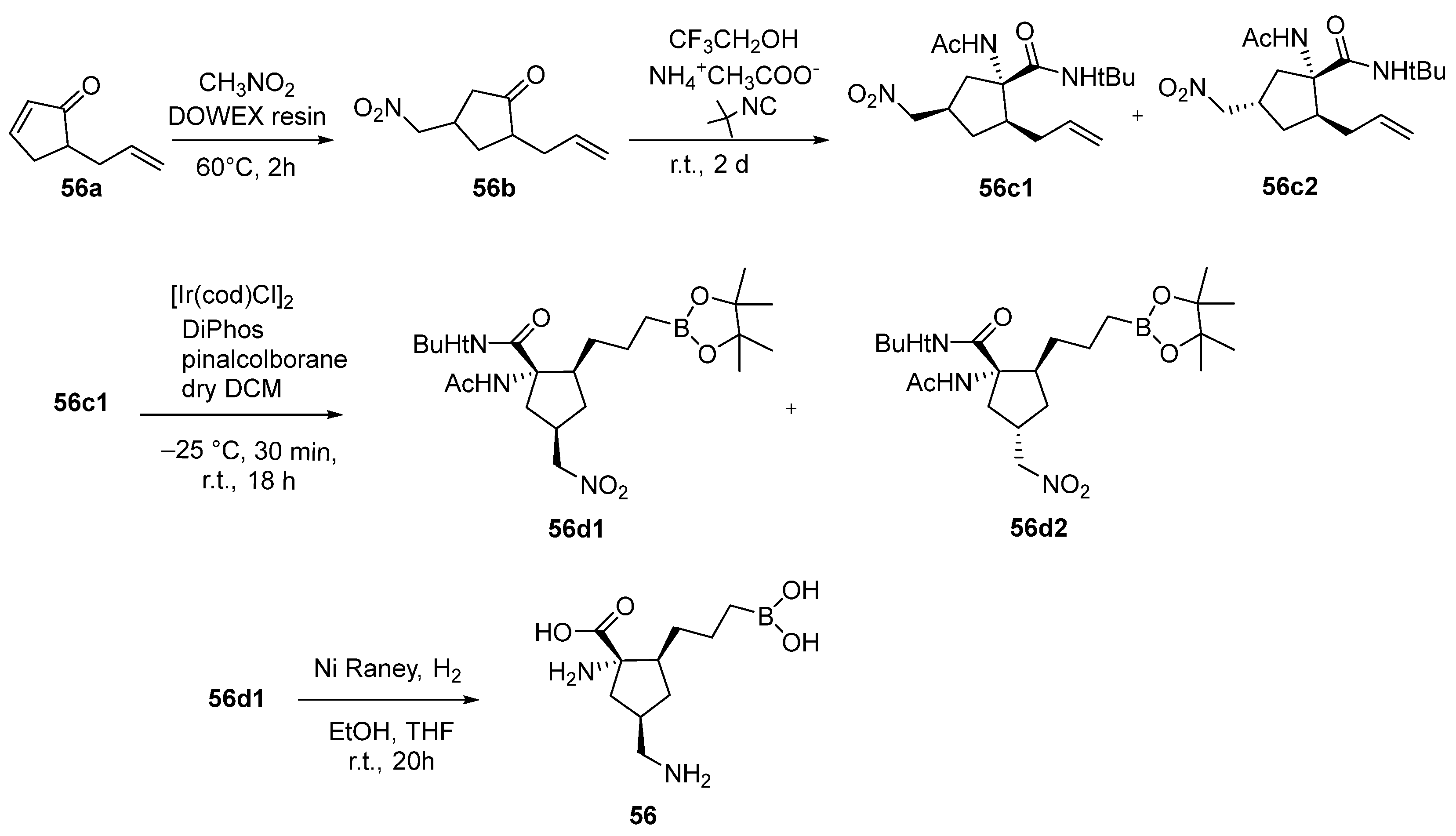 Pharmaceutics 17 00117 sch019