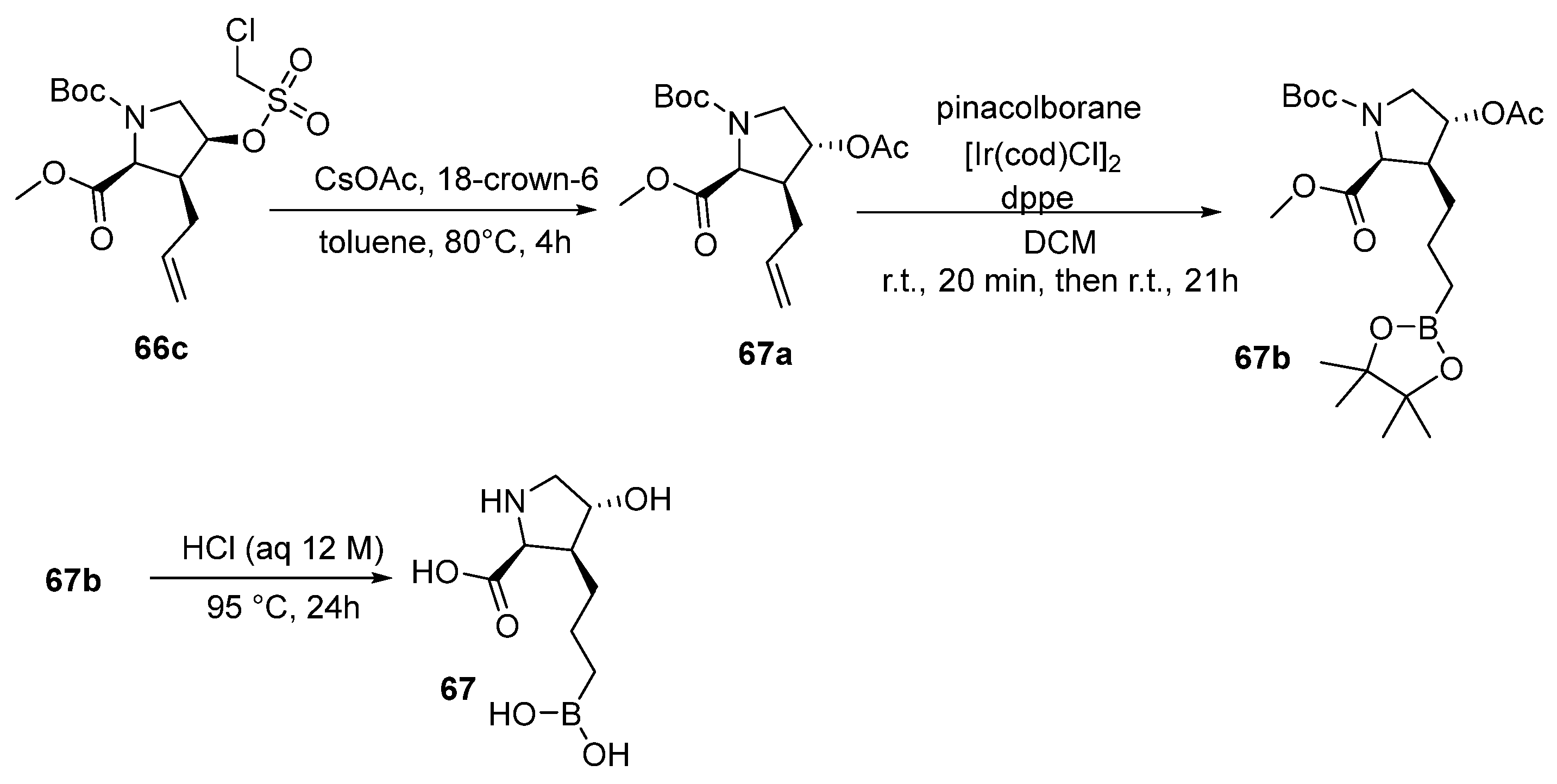 Pharmaceutics 17 00117 sch029