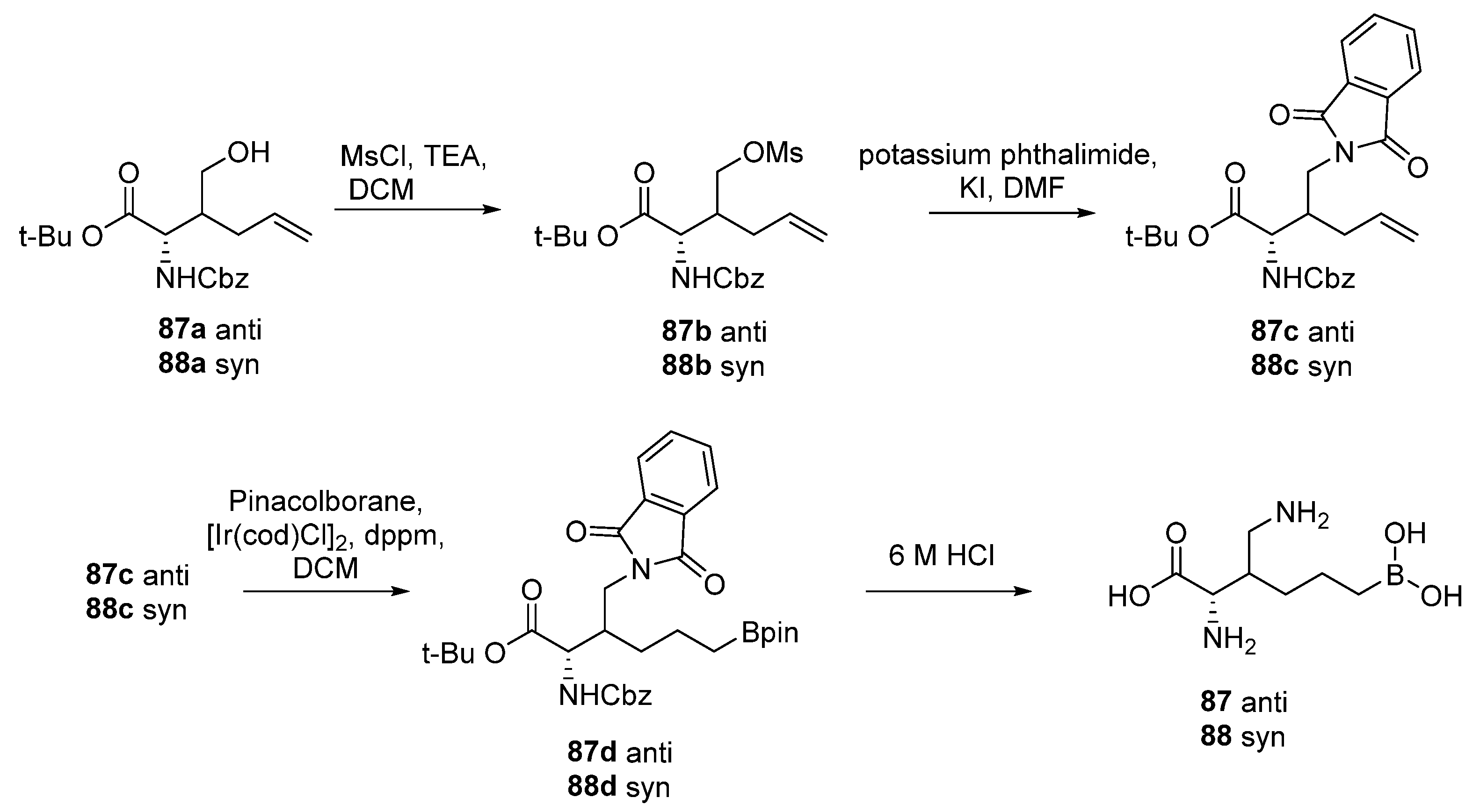 Pharmaceutics 17 00117 sch042