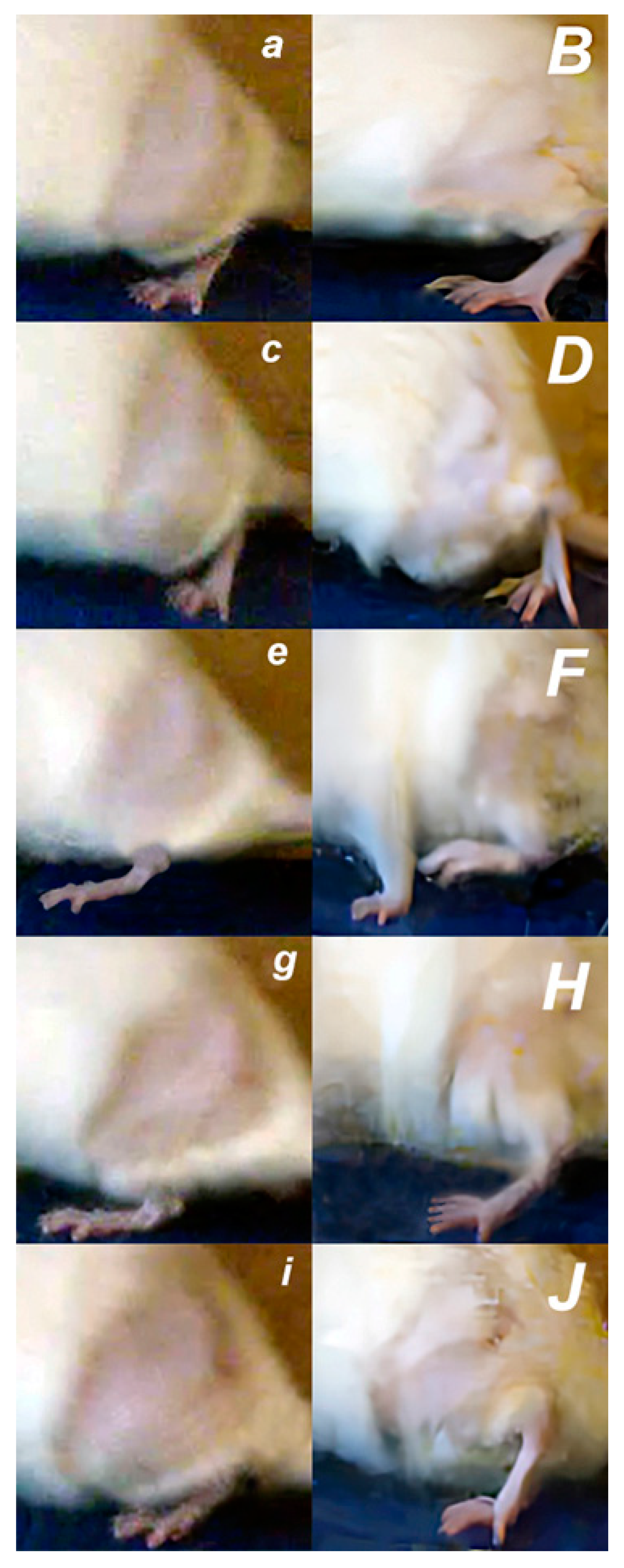 Pharmaceutics 17 00119 g003