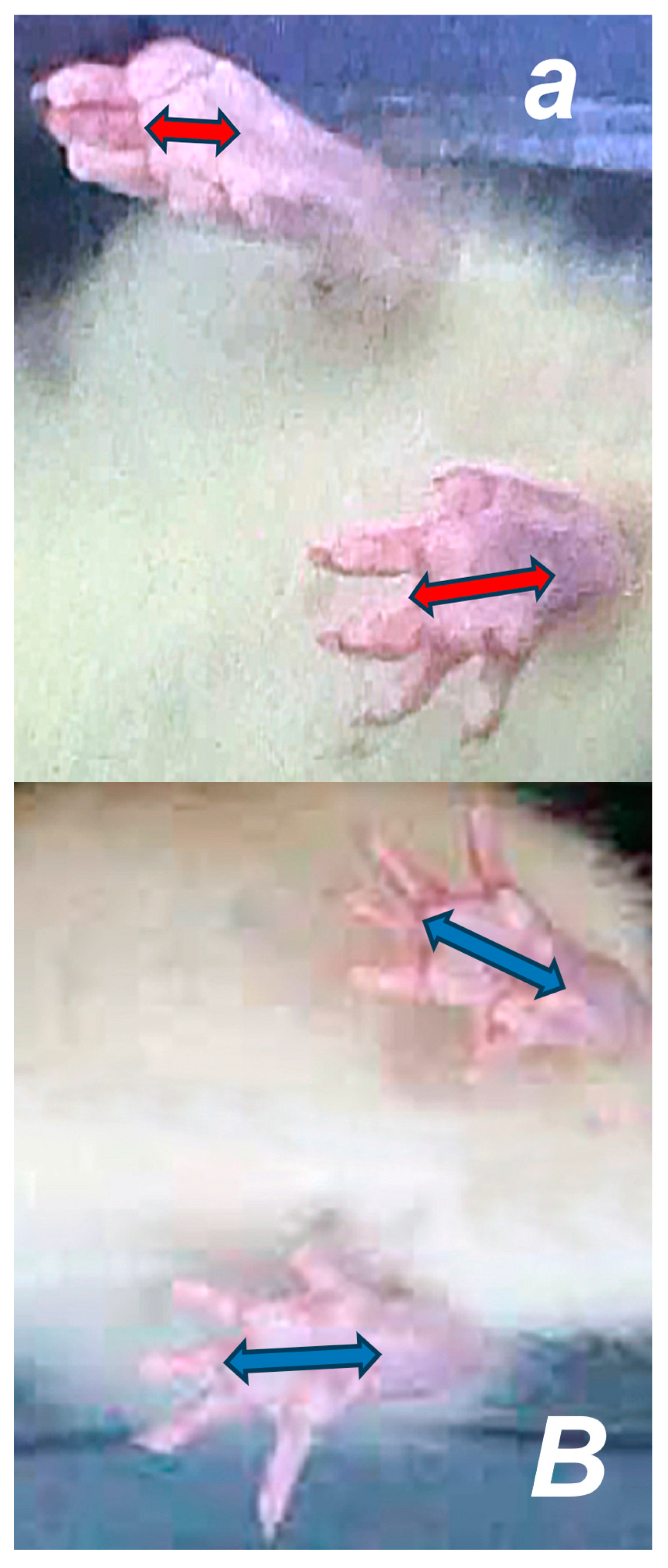 Pharmaceutics 17 00119 g004