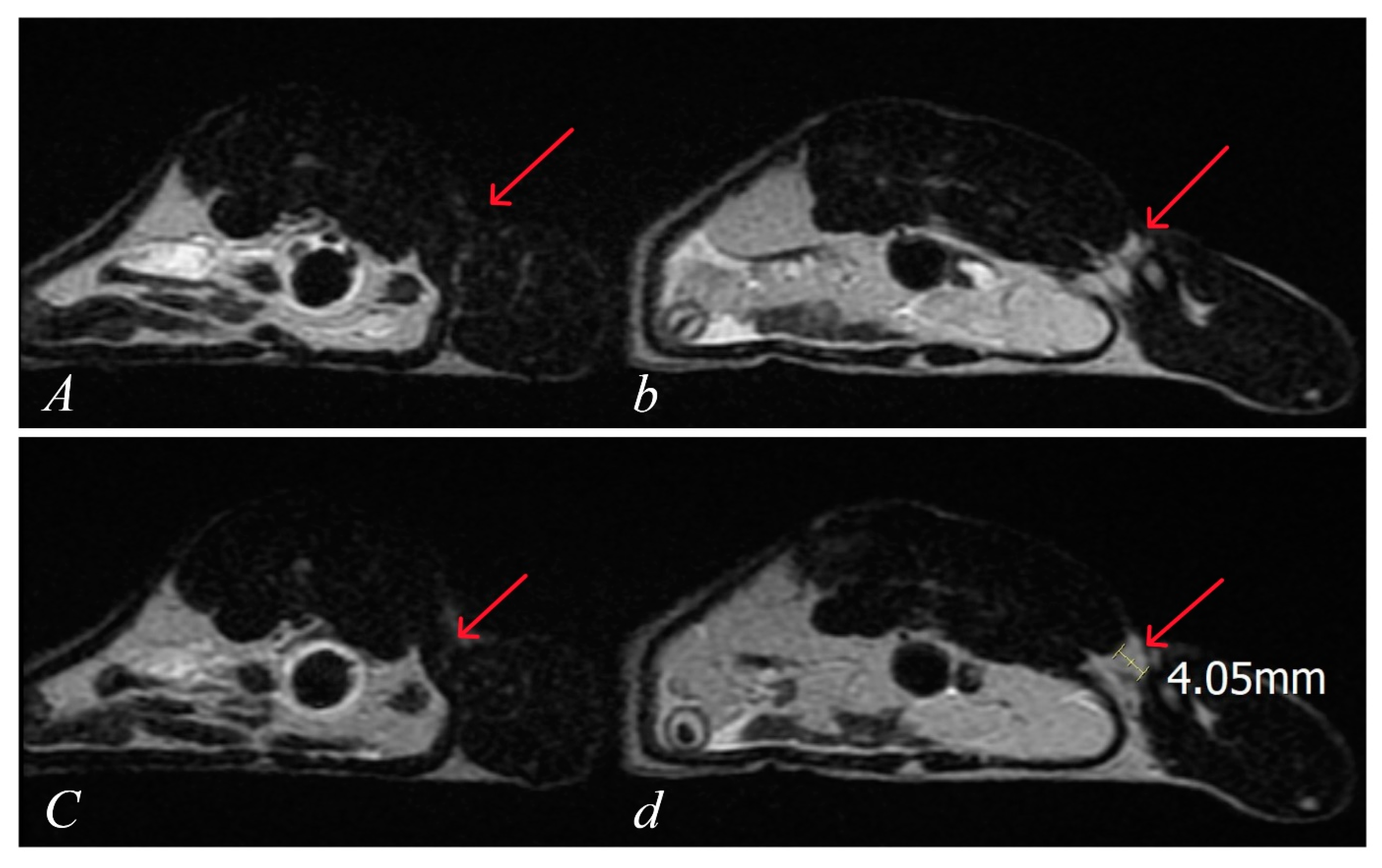 Pharmaceutics 17 00119 g012