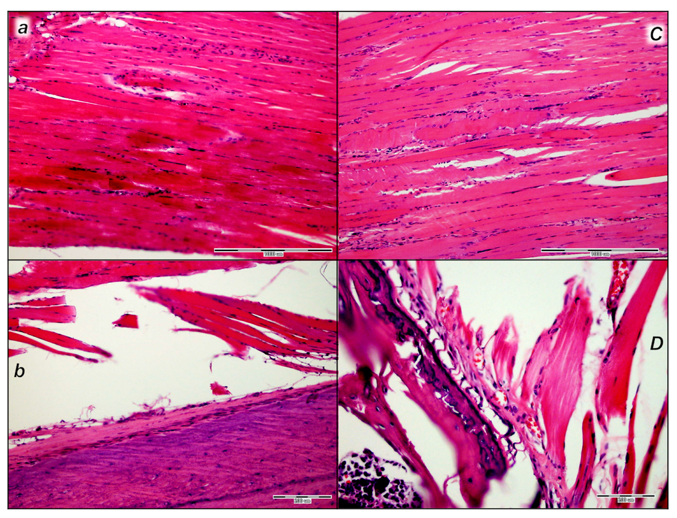 Pharmaceutics 17 00119 g018