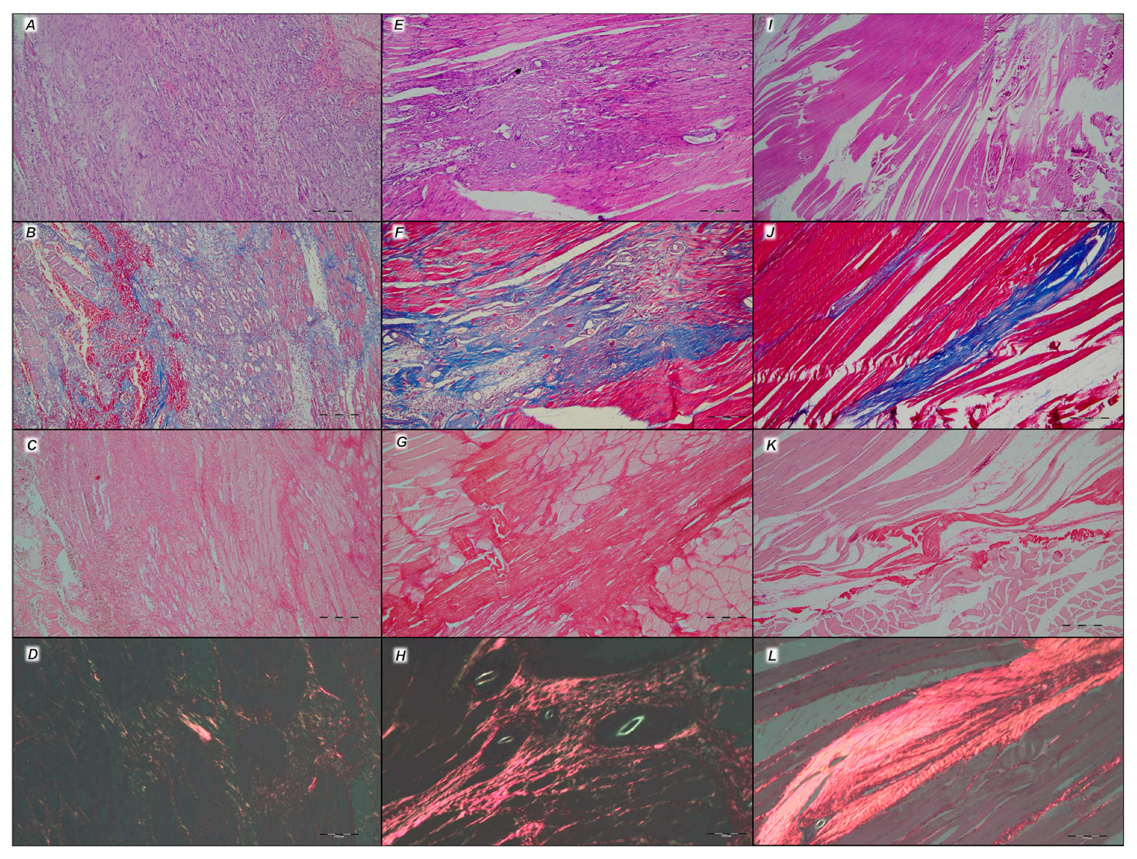 Pharmaceutics 17 00119 g020
