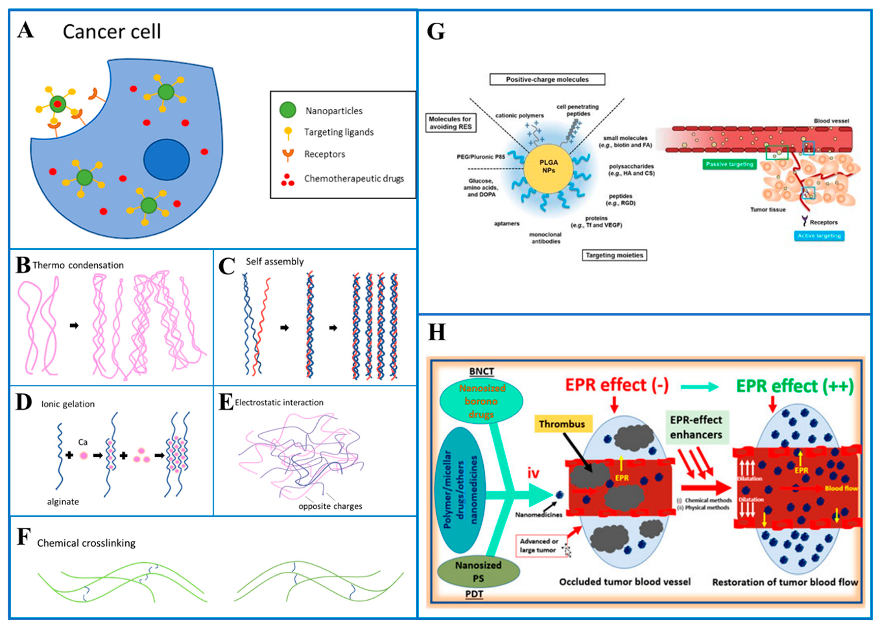 Pharmaceutics 17 00121 g001 Pharmaceutics 17 00121 g001