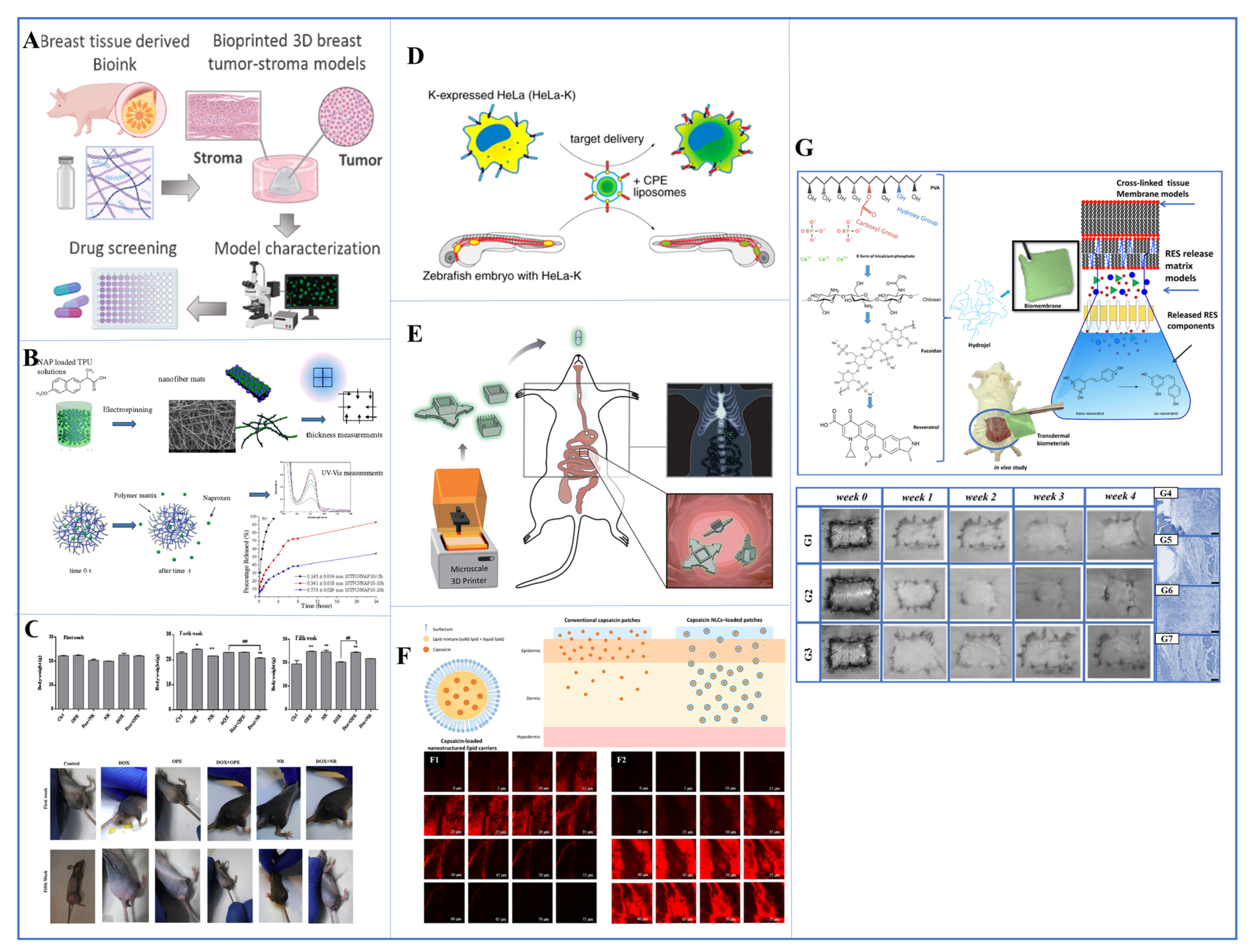 Pharmaceutics 17 00121 g002 Pharmaceutics 17 00121 g002