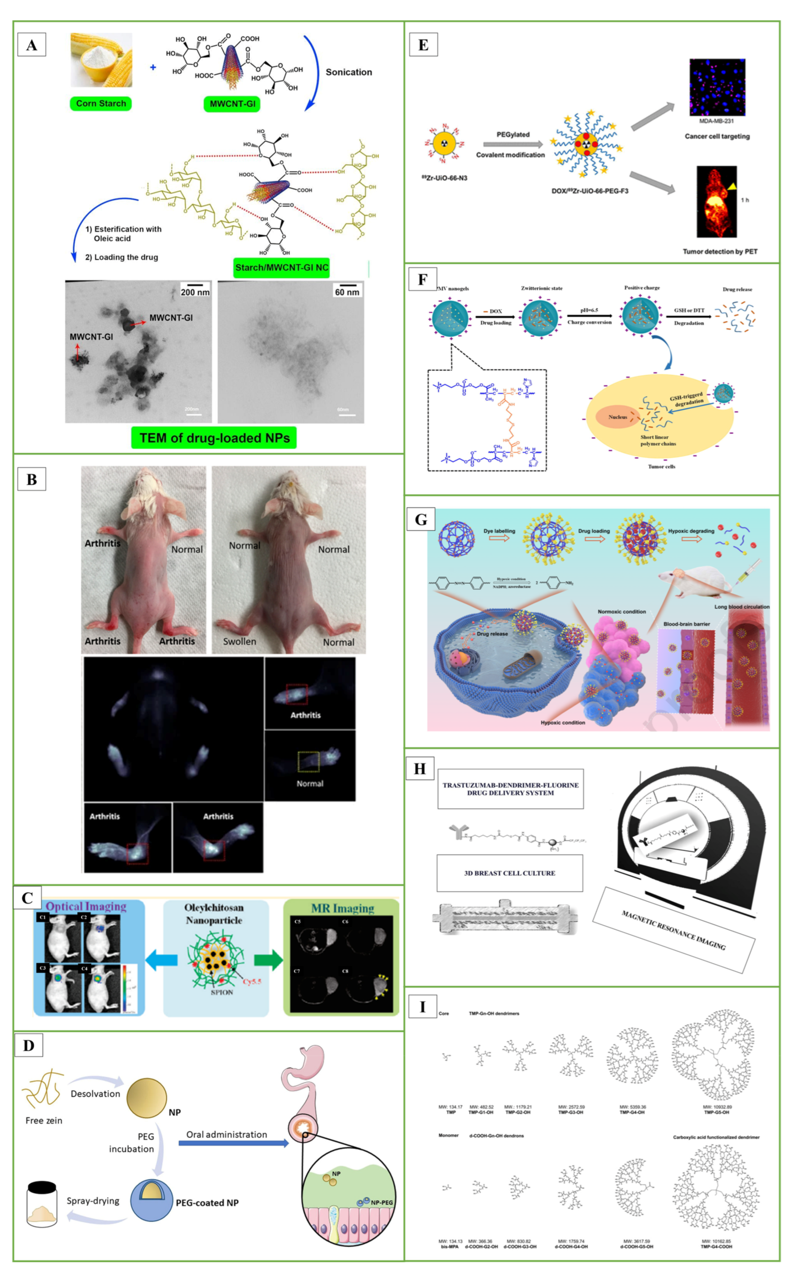 Pharmaceutics 17 00121 g003 Pharmaceutics 17 00121 g003