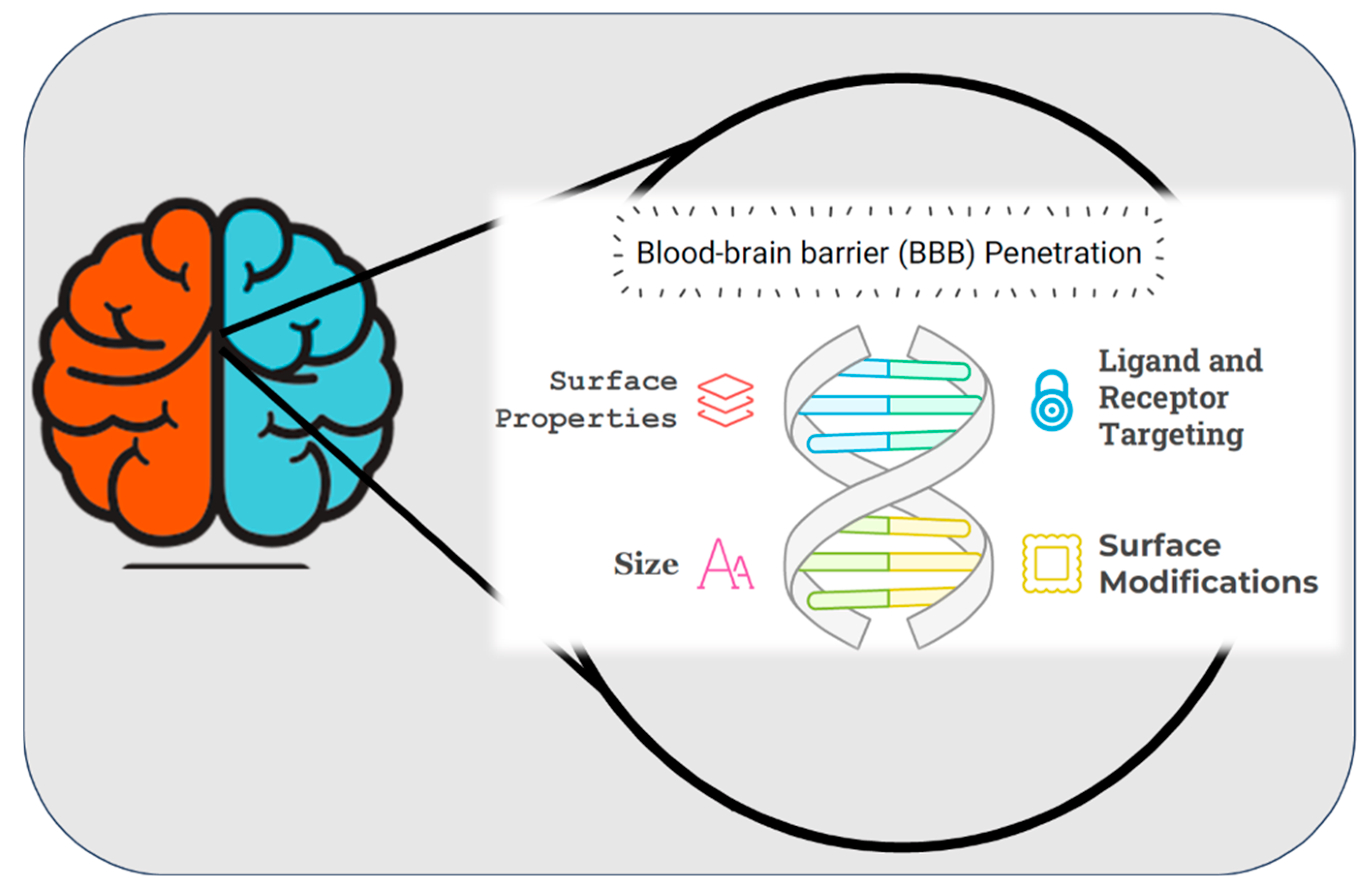 Pharmaceutics 17 00121 g004 Pharmaceutics 17 00121 g004