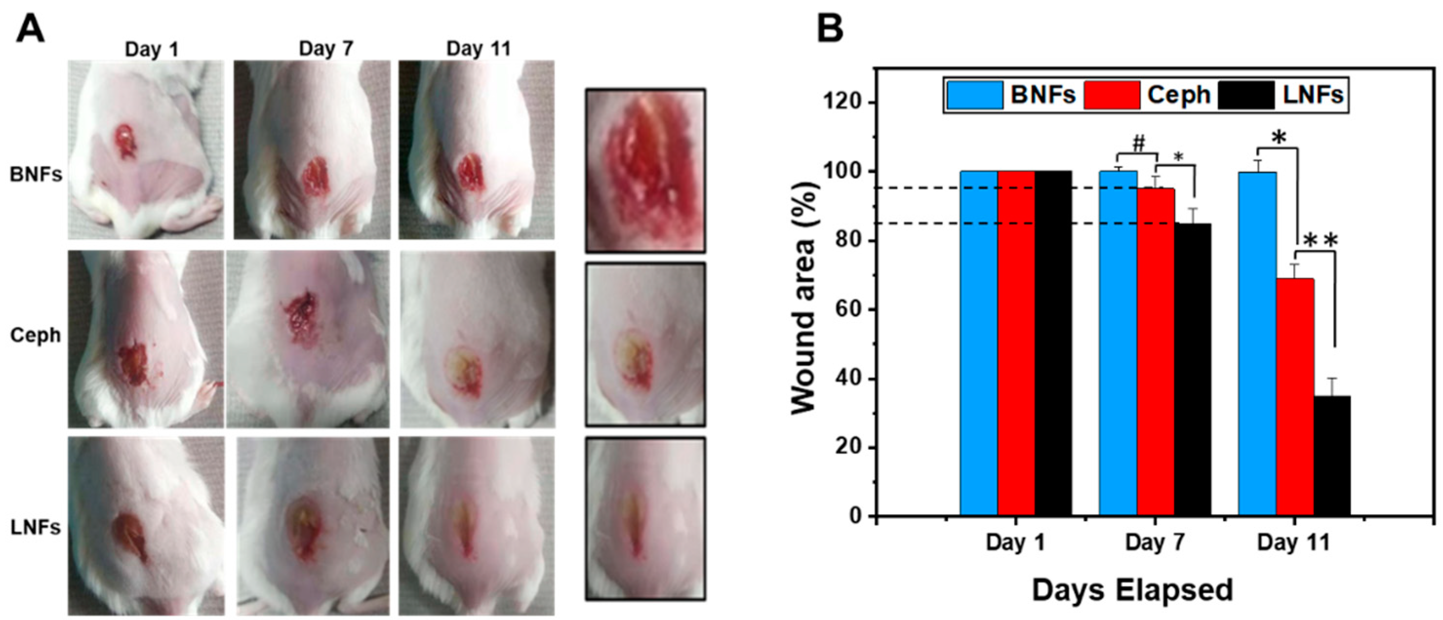 Pharmaceutics 17 00126 g009
