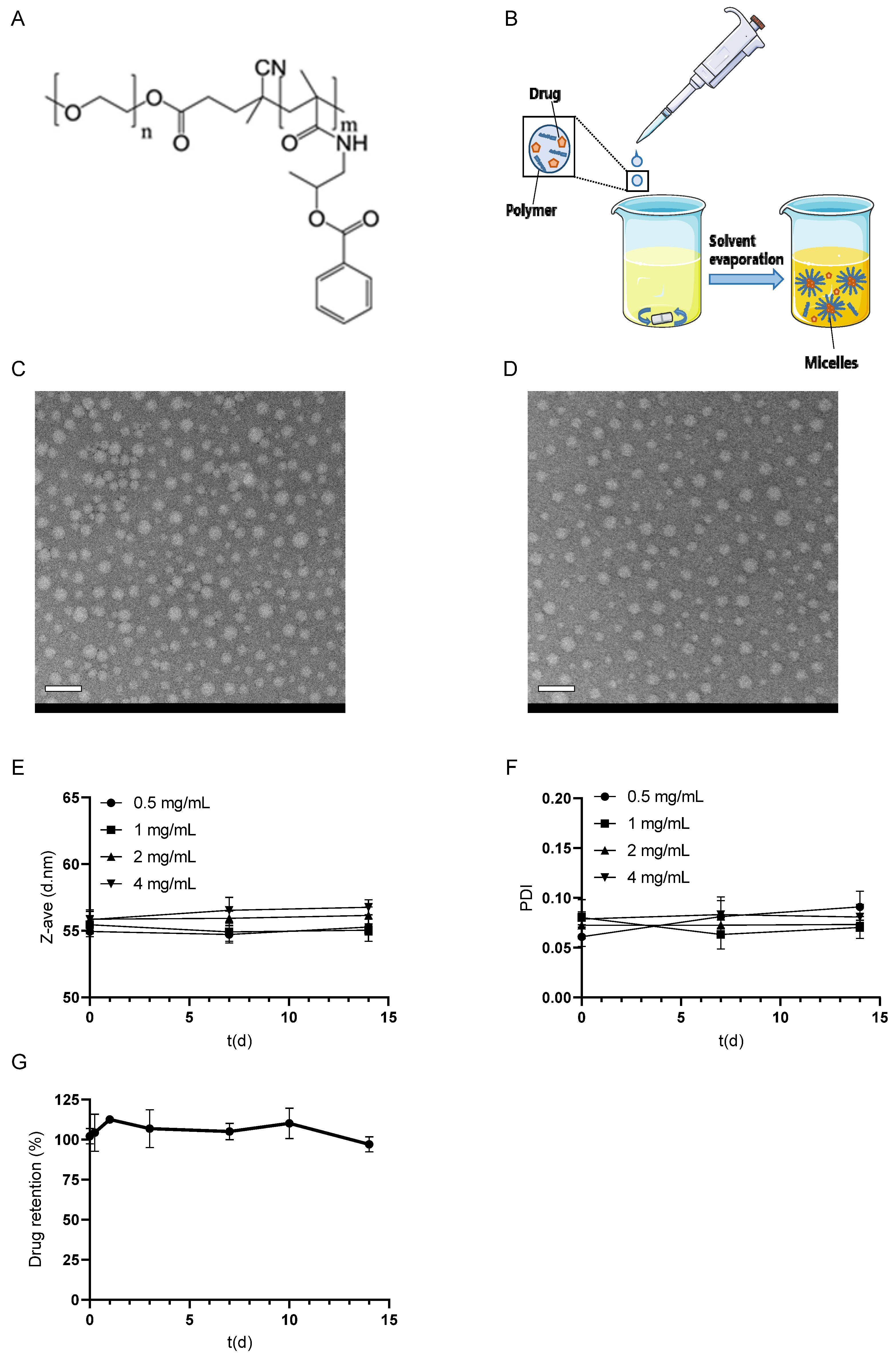 Pharmaceutics 17 00127 g001