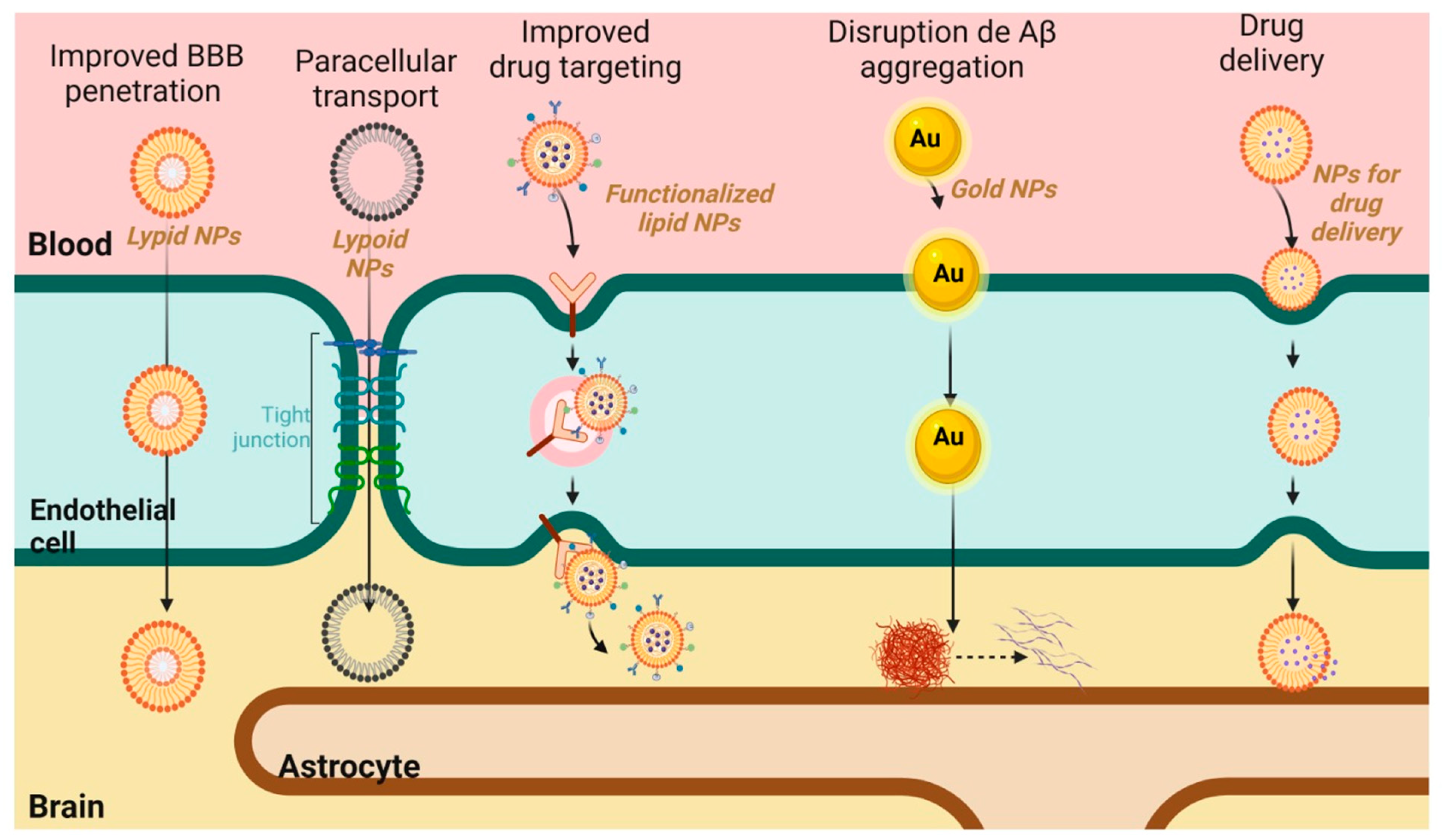 Pharmaceutics 17 00128 g004
