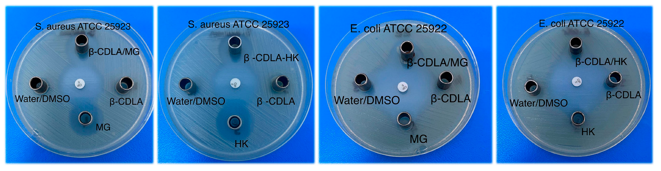 Pharmaceutics 17 00130 g013