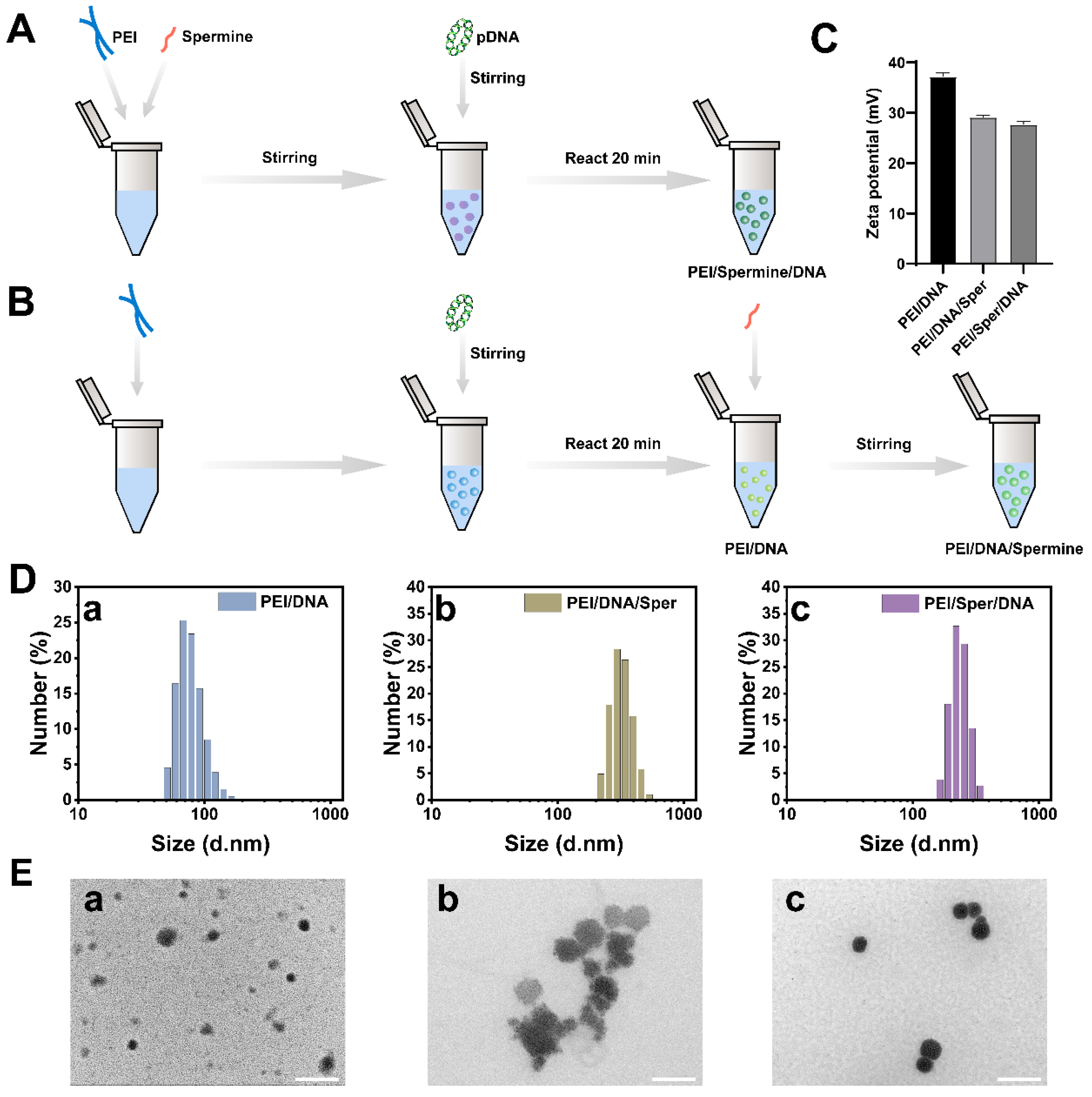 Pharmaceutics 17 00131 g001