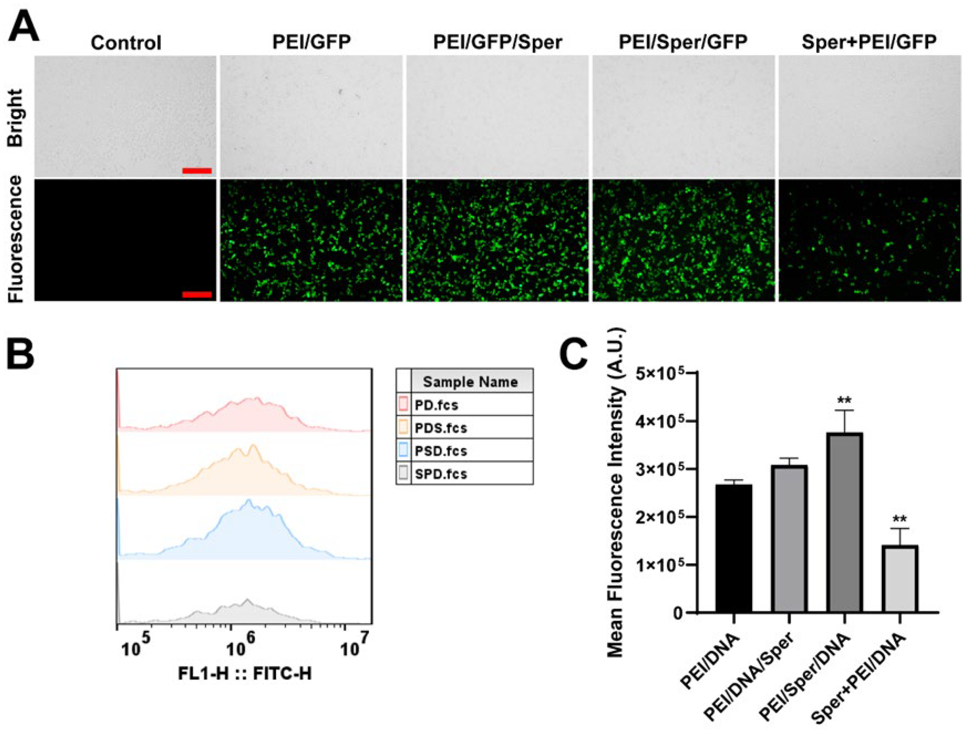 Pharmaceutics 17 00131 g003