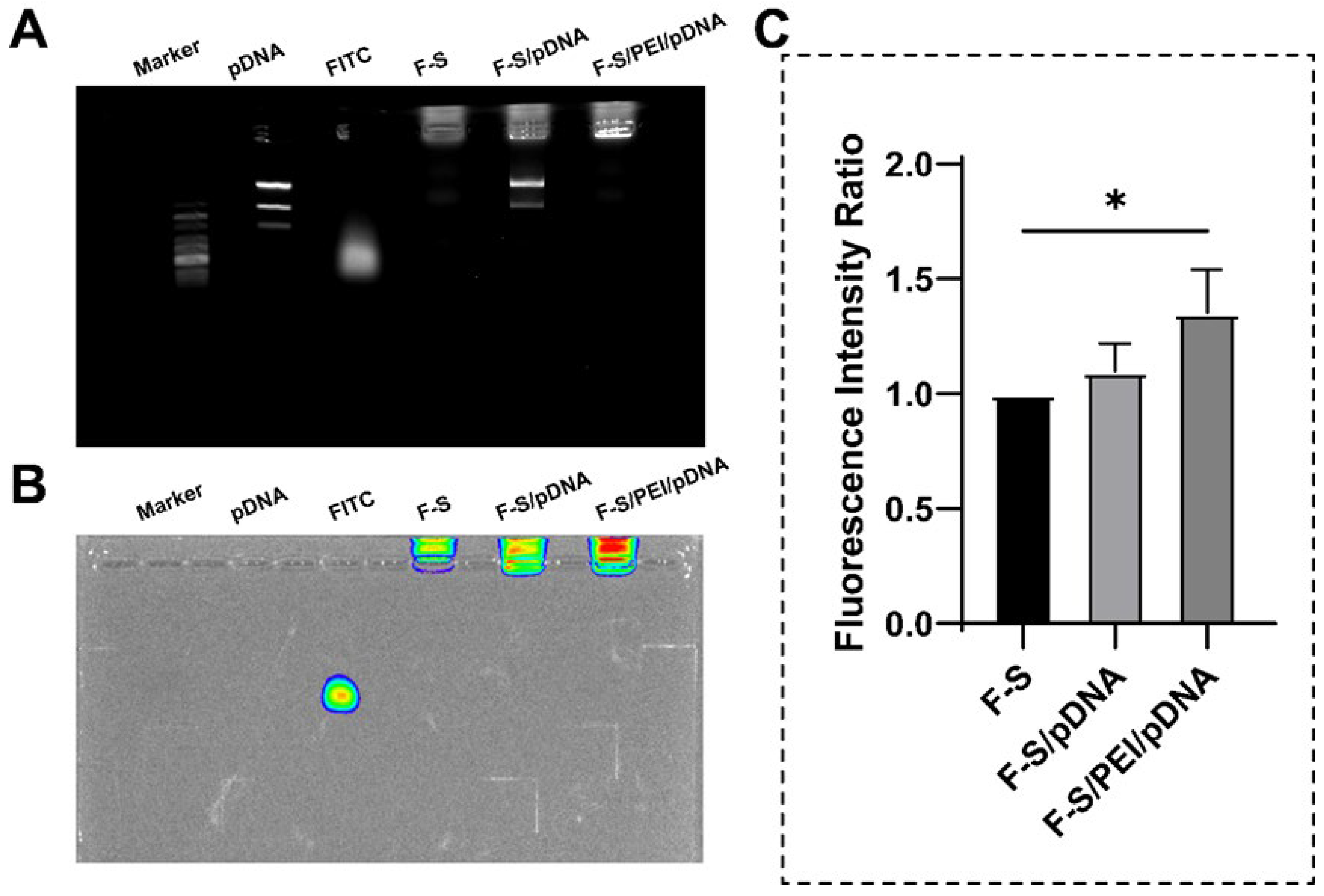 Pharmaceutics 17 00131 g004