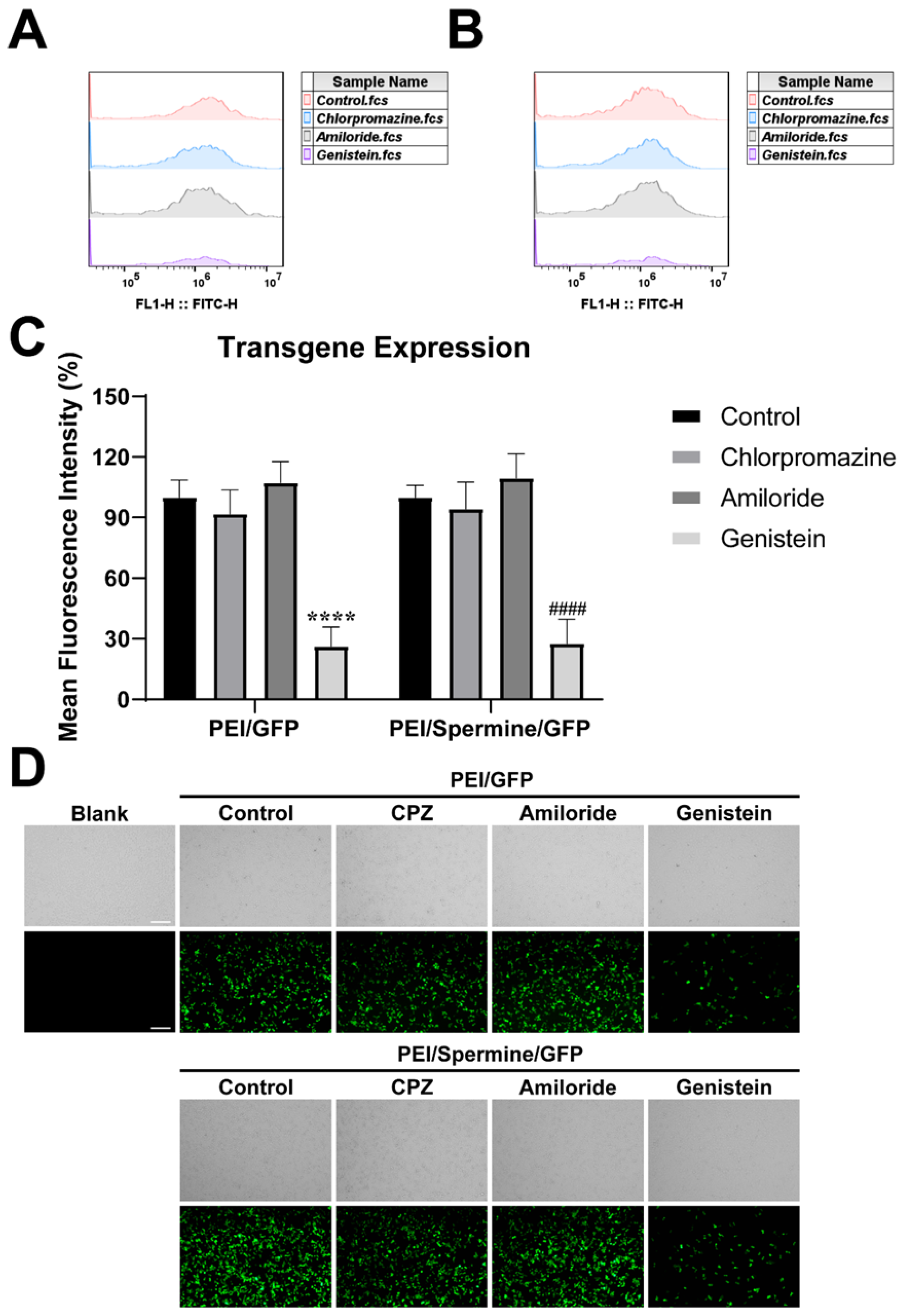 Pharmaceutics 17 00131 g006