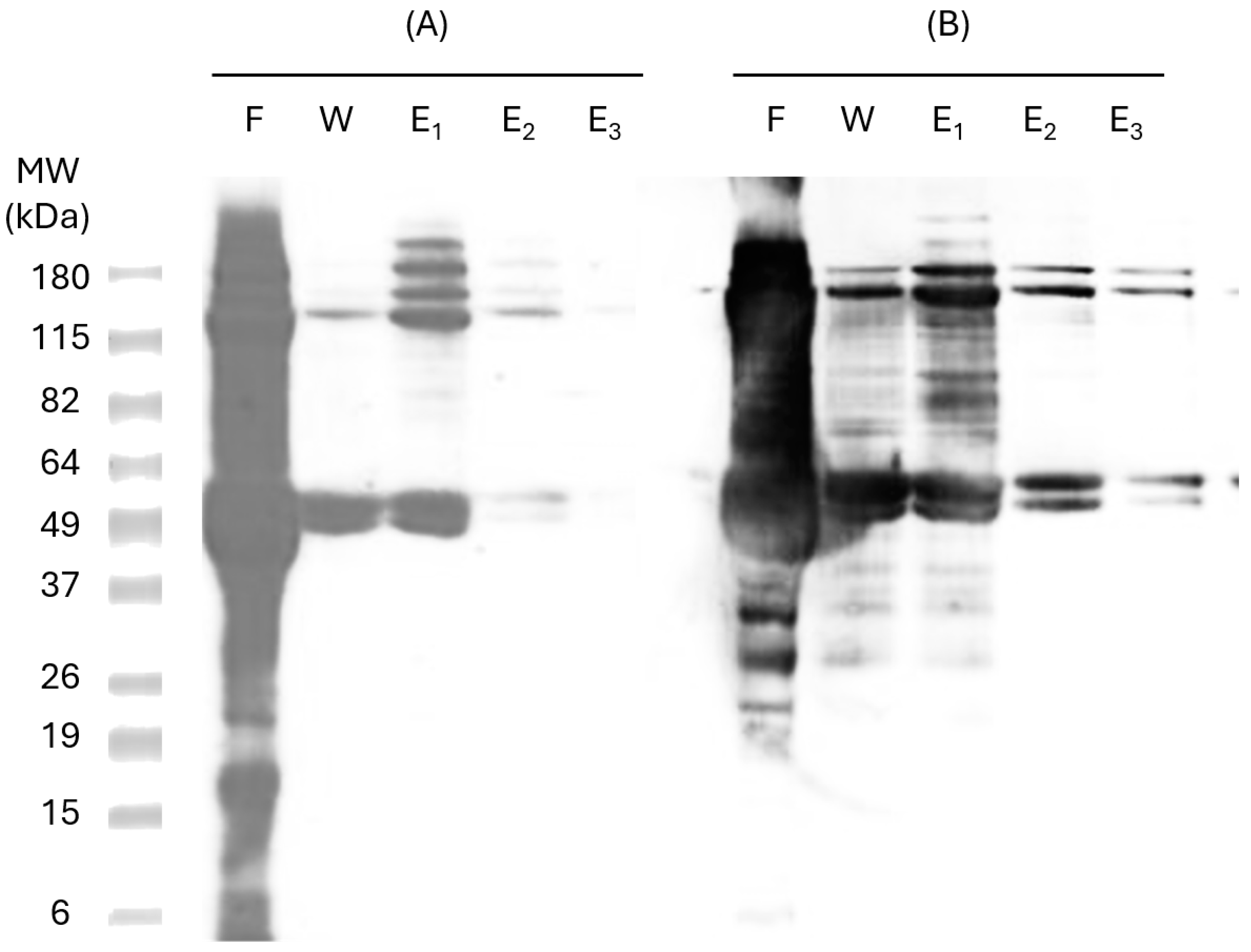 Pharmaceutics 17 00132 g003