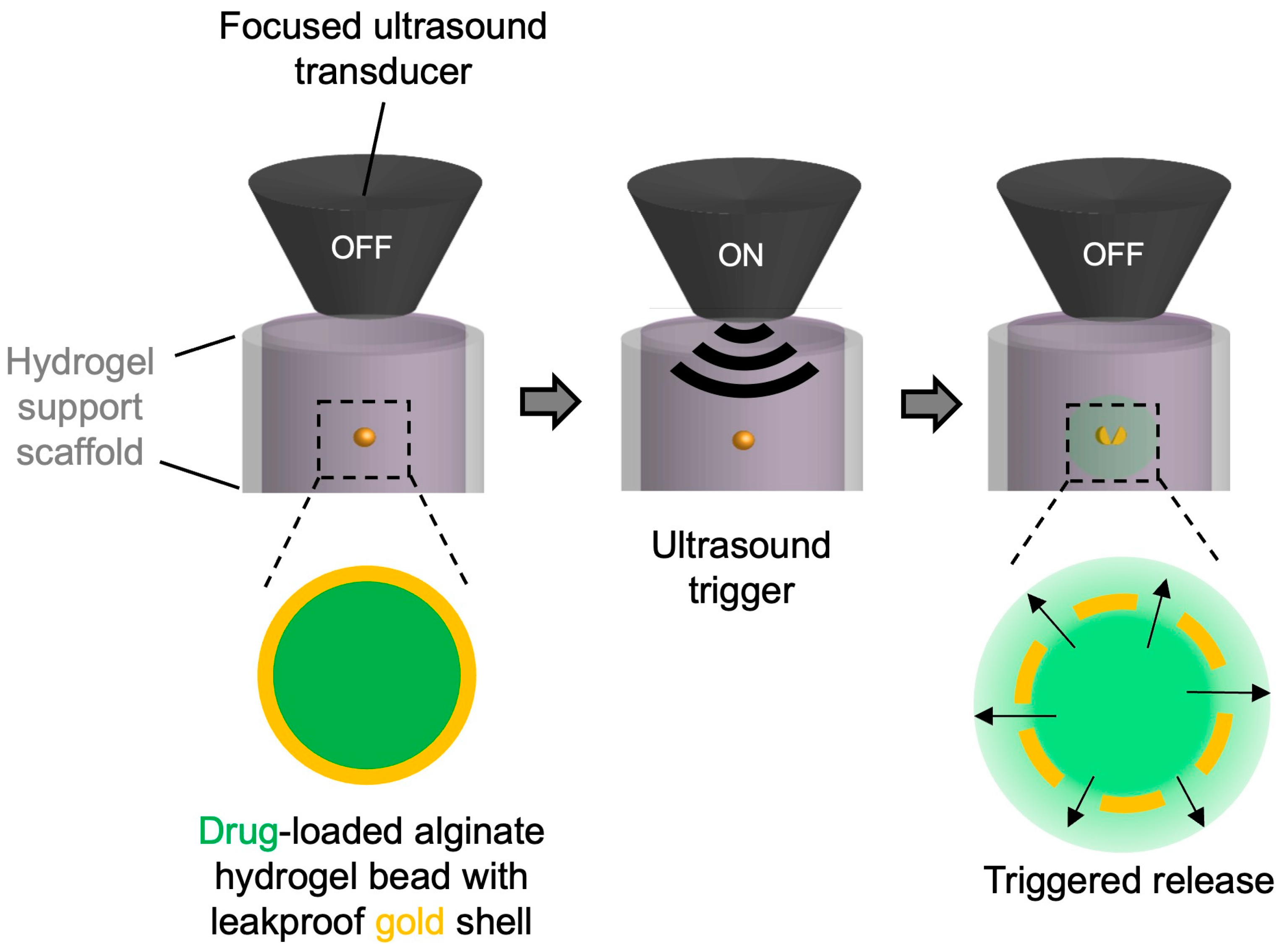 Pharmaceutics 17 00133 g001