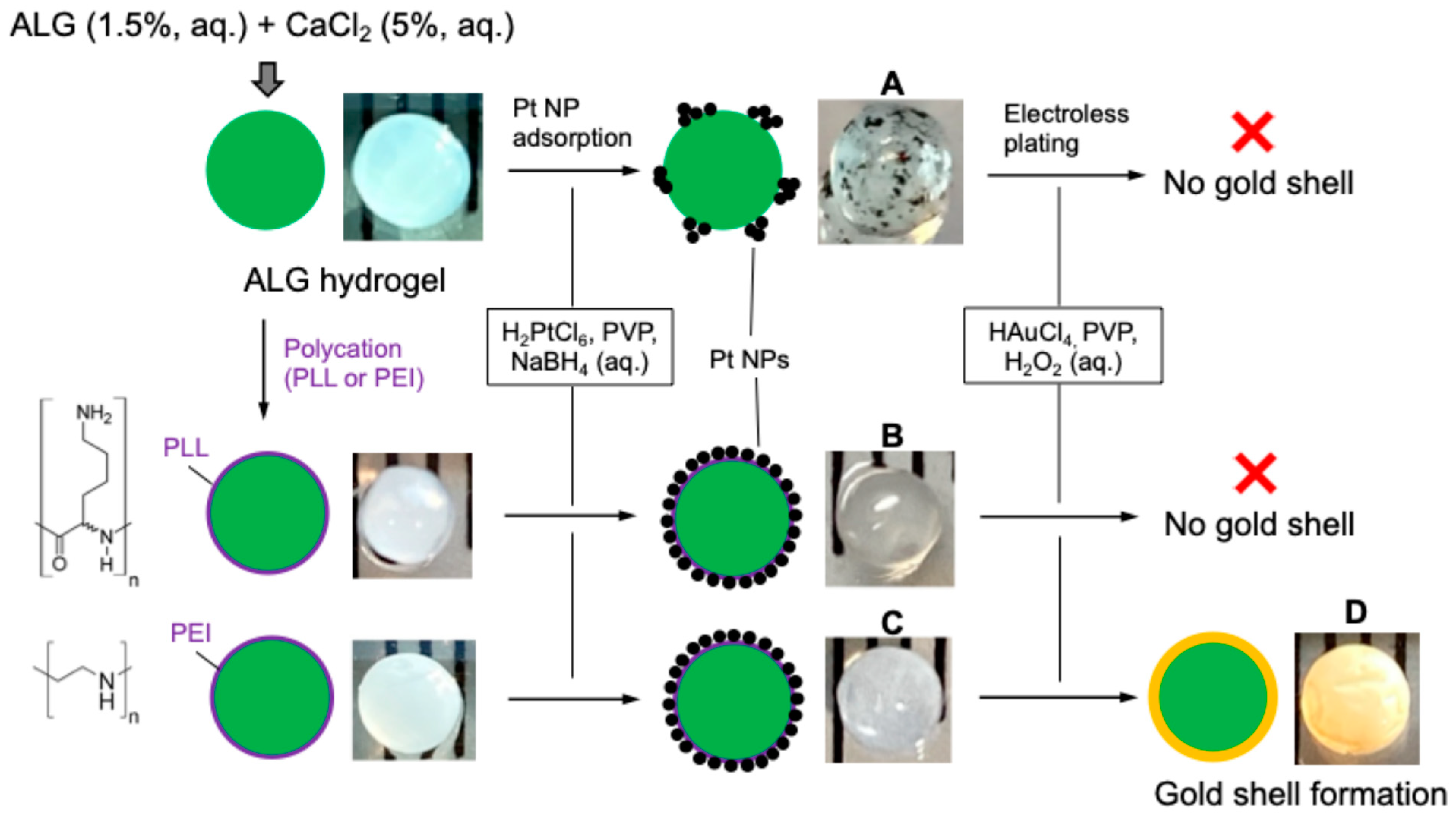 Pharmaceutics 17 00133 g002